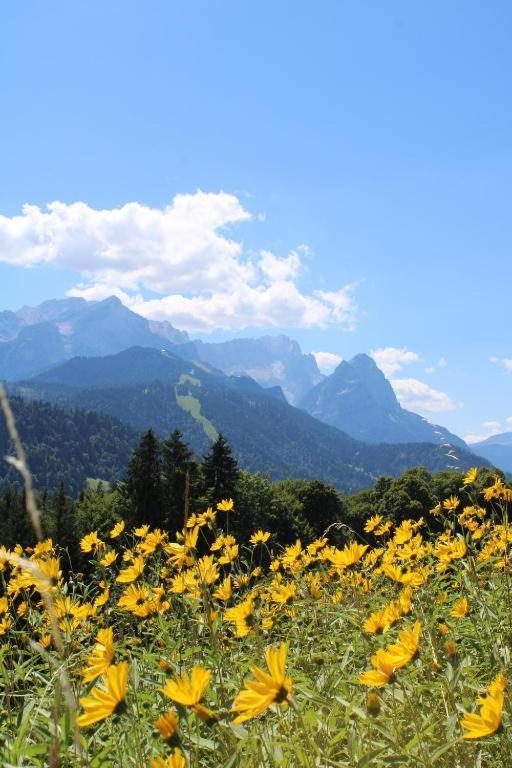 Pfeiffer Alm mit Blick auf die Zugspitze