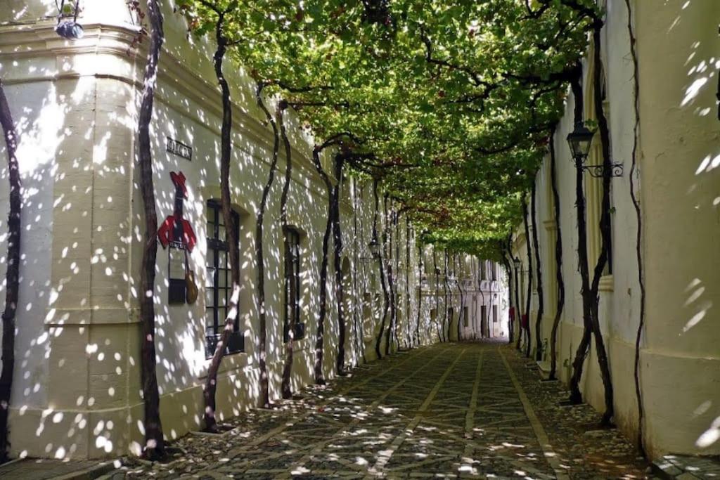 Apartamento en pleno centro de Jerez de la Frontera