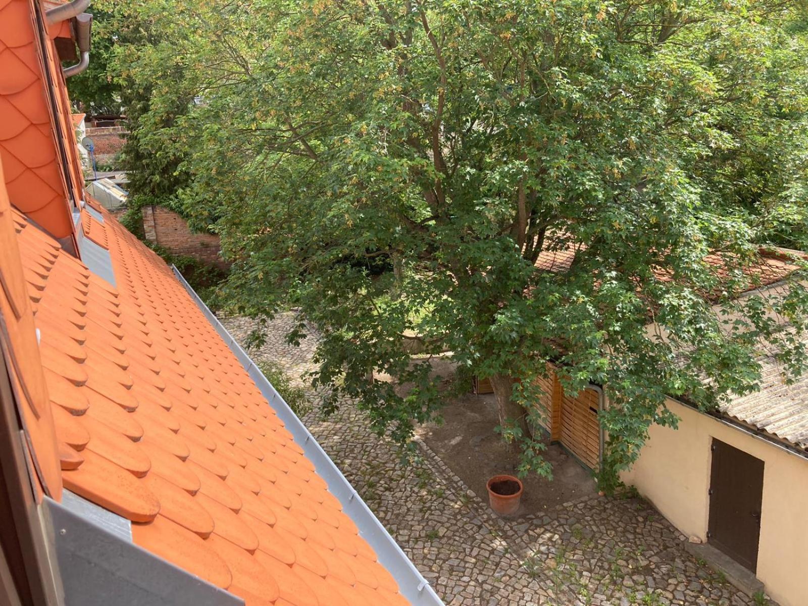 Gästehaus Geiseltalsee