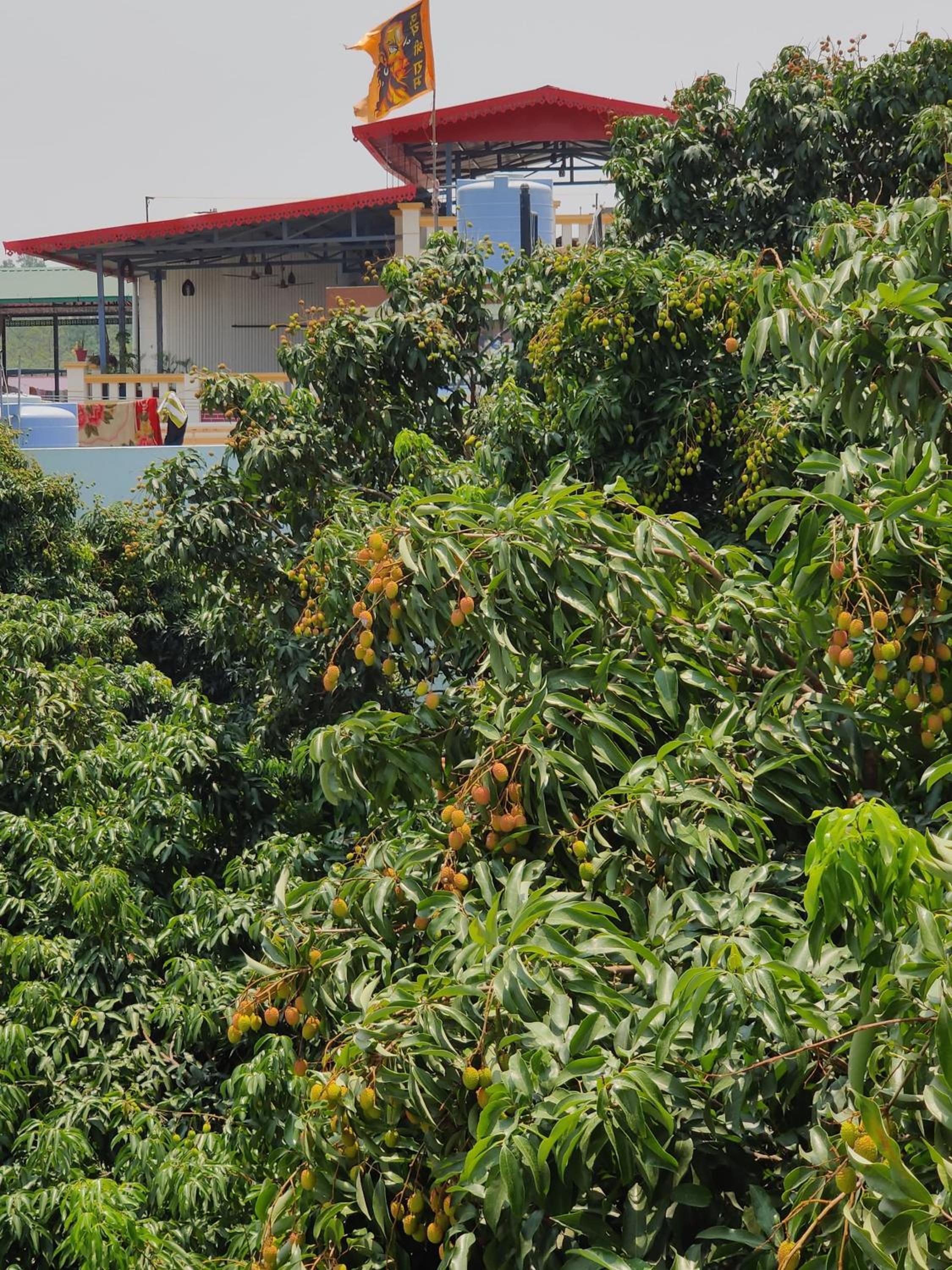 Vaikunth Homestay