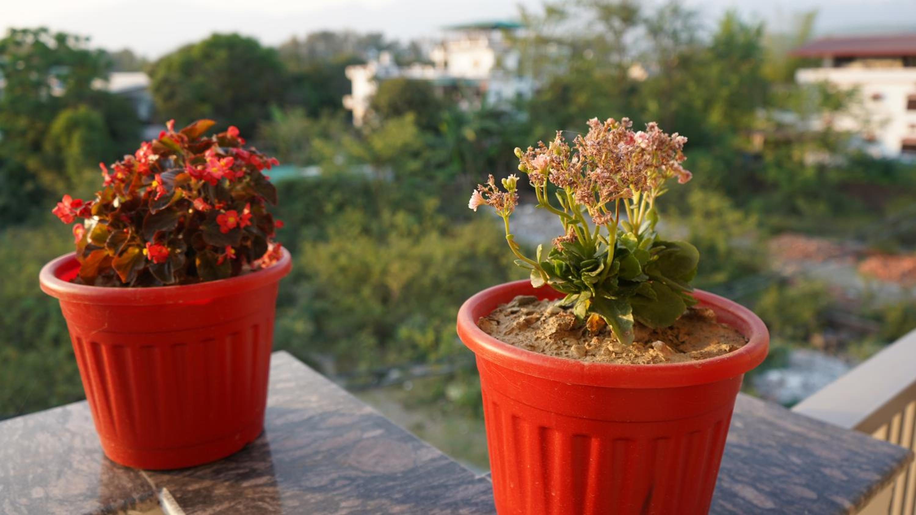 Vaikunth Homestay