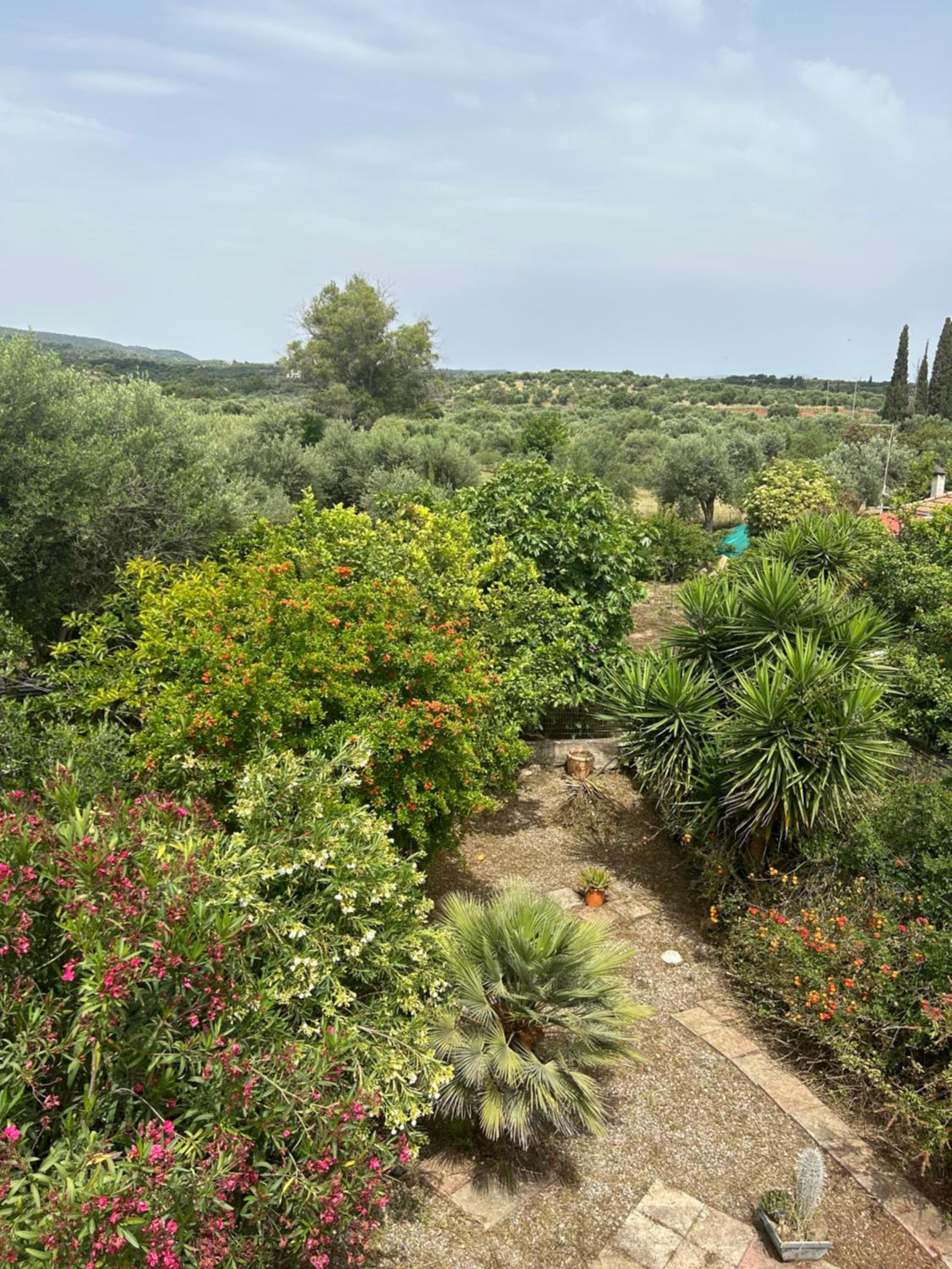 Maison Pelops Petalidi