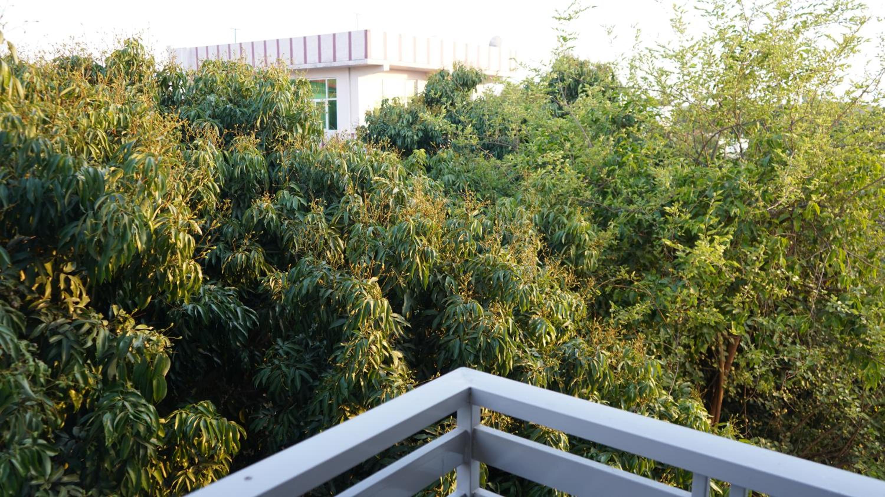 Vaikunth Homestay