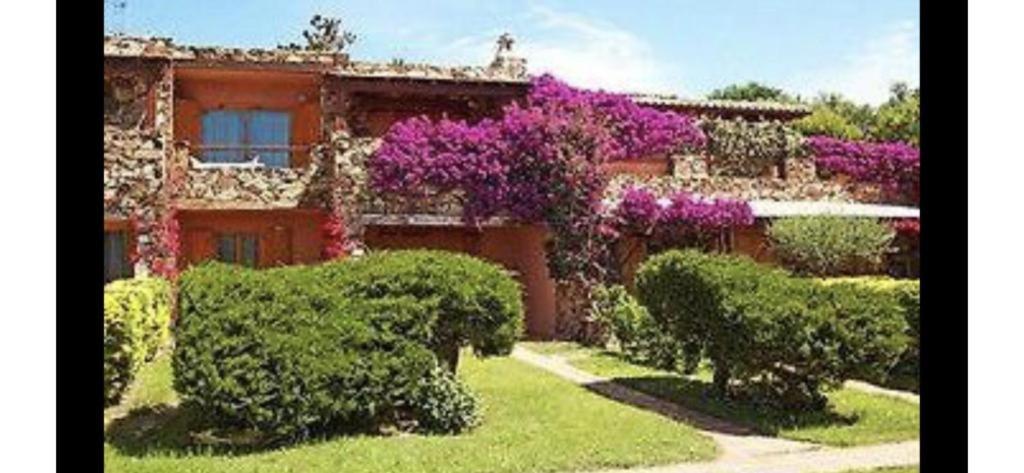 Porto Rotondo Dream Apartment