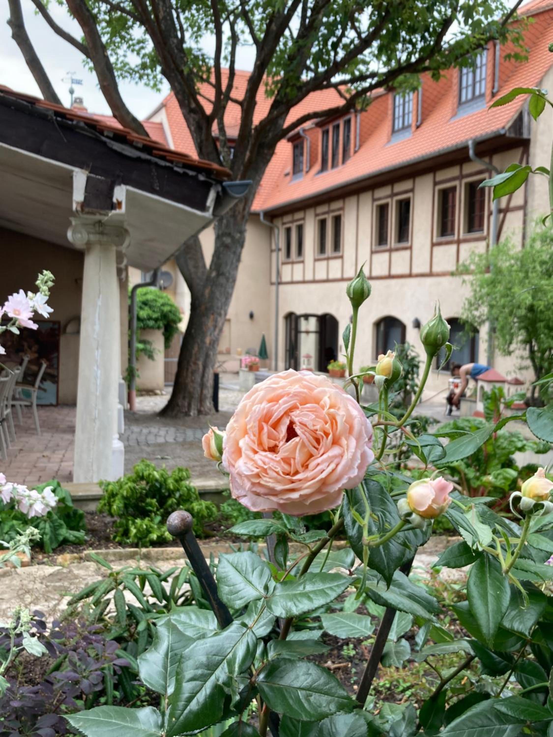 Gästehaus Geiseltalsee