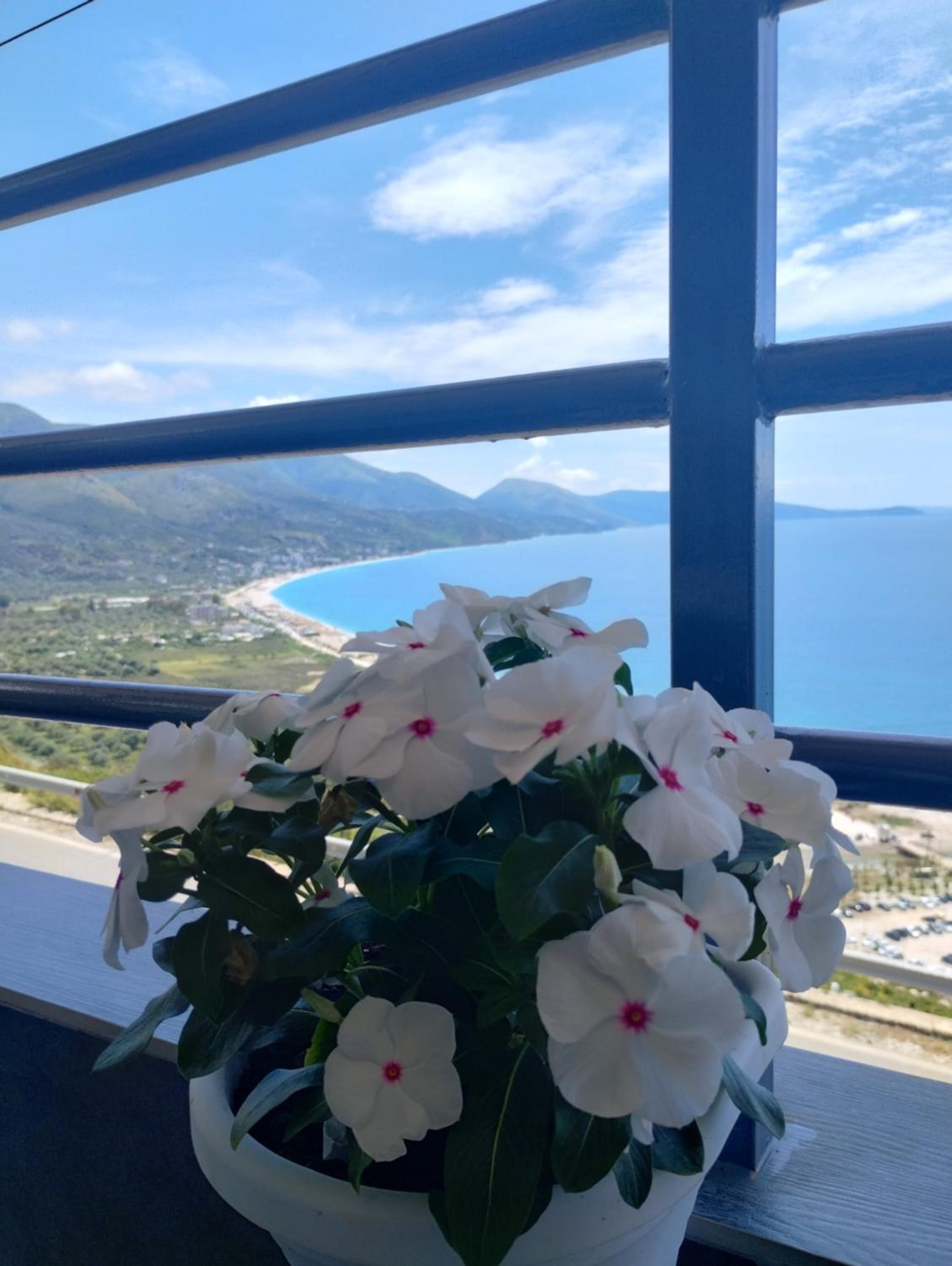 Rafa's apartment