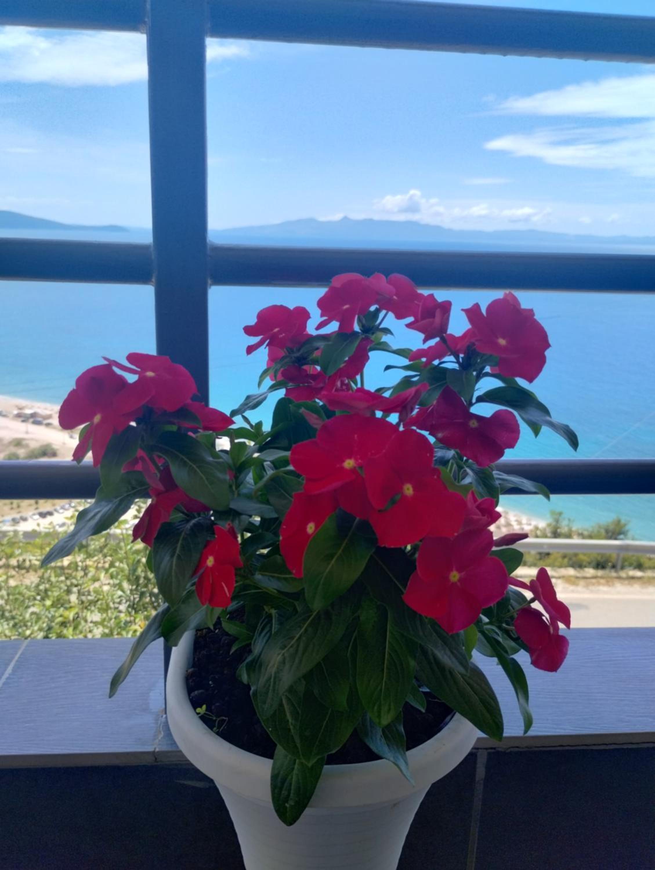 Rafa's apartment