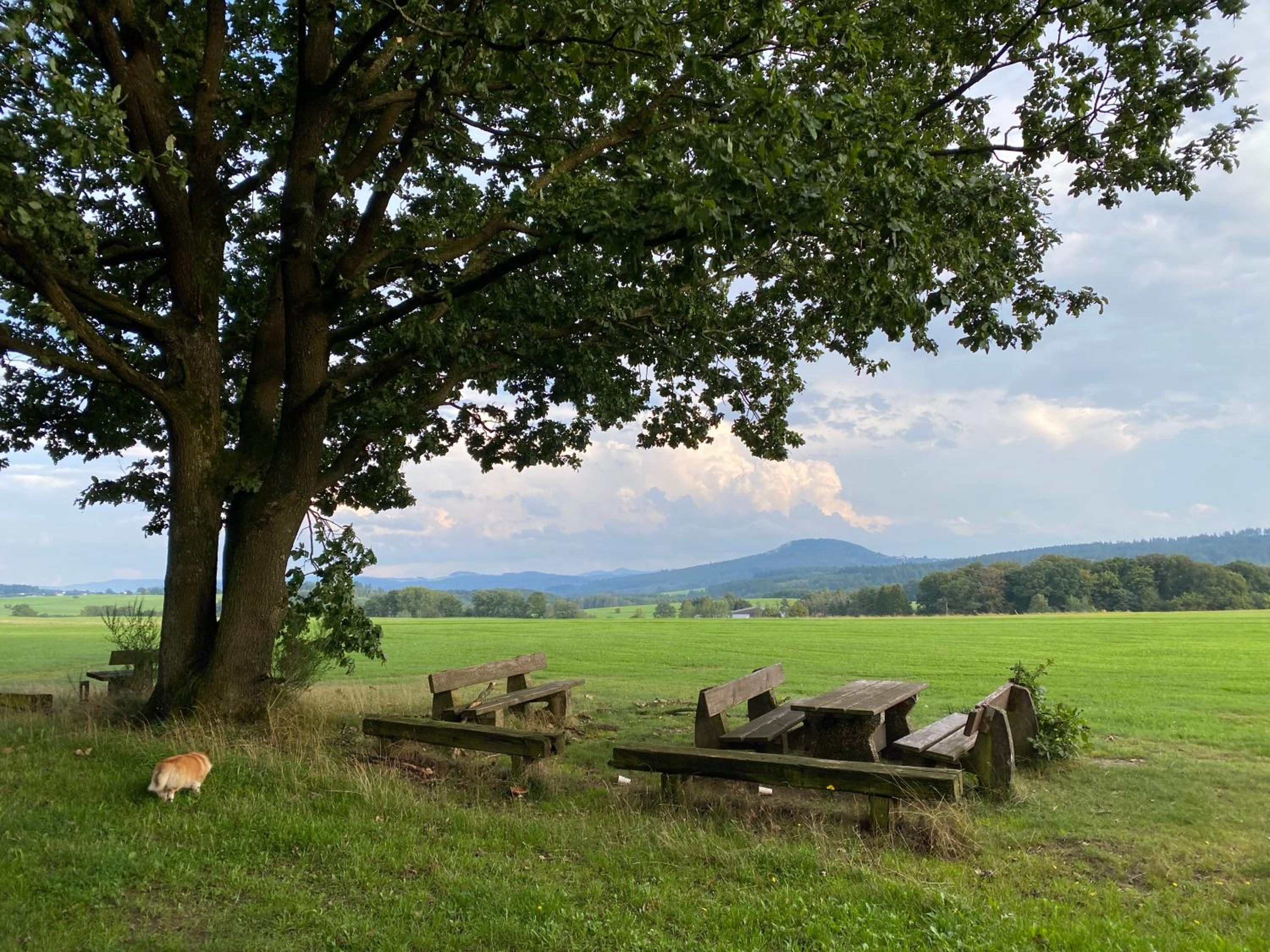 Eifel Ferienhaus Luna