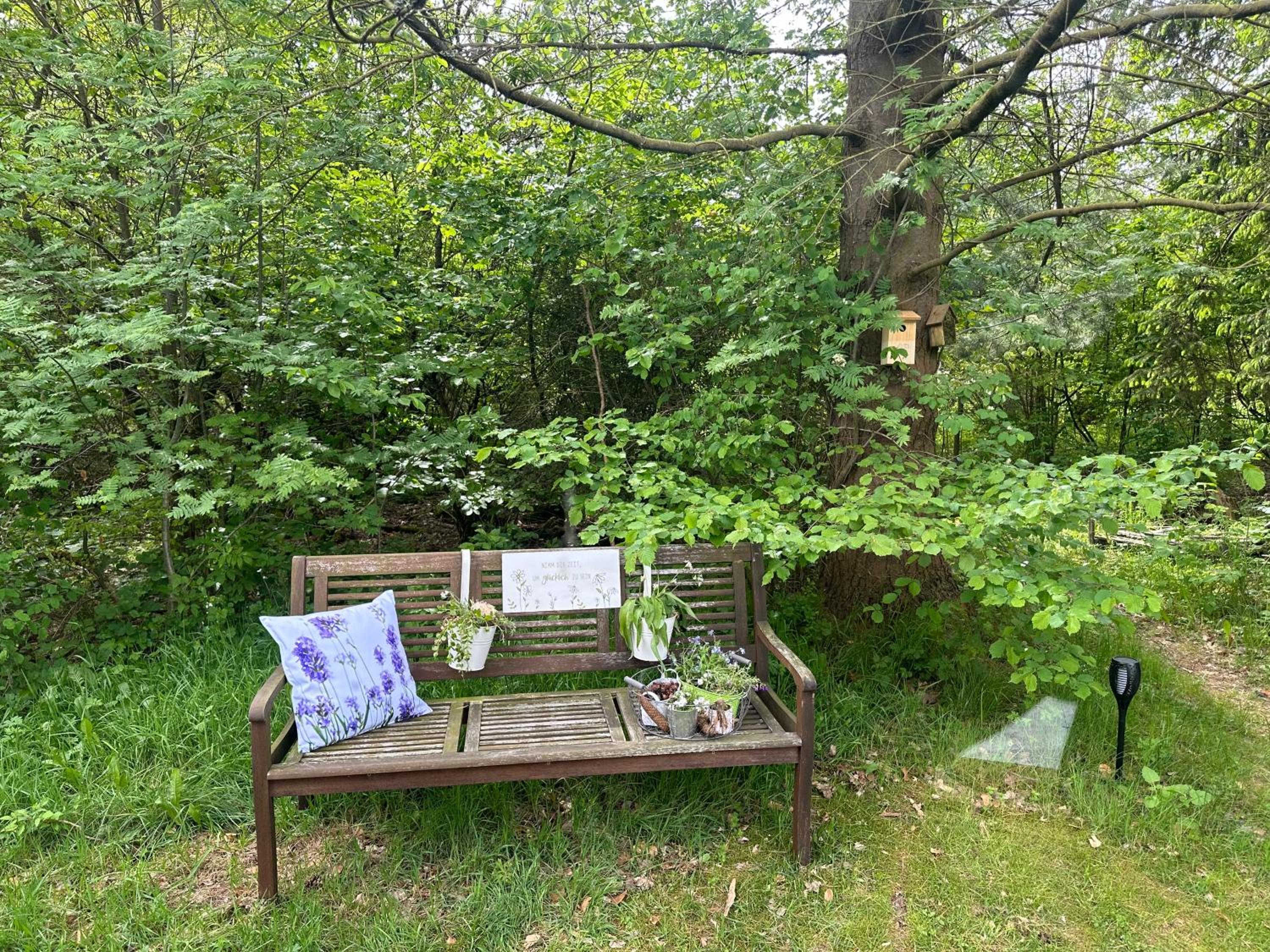 Frankenwald Ferienhaus FourStars am See in Lichtenberg, Bayern, Oberfranken, Bad Steben - Hof -Saale, Rennsteig