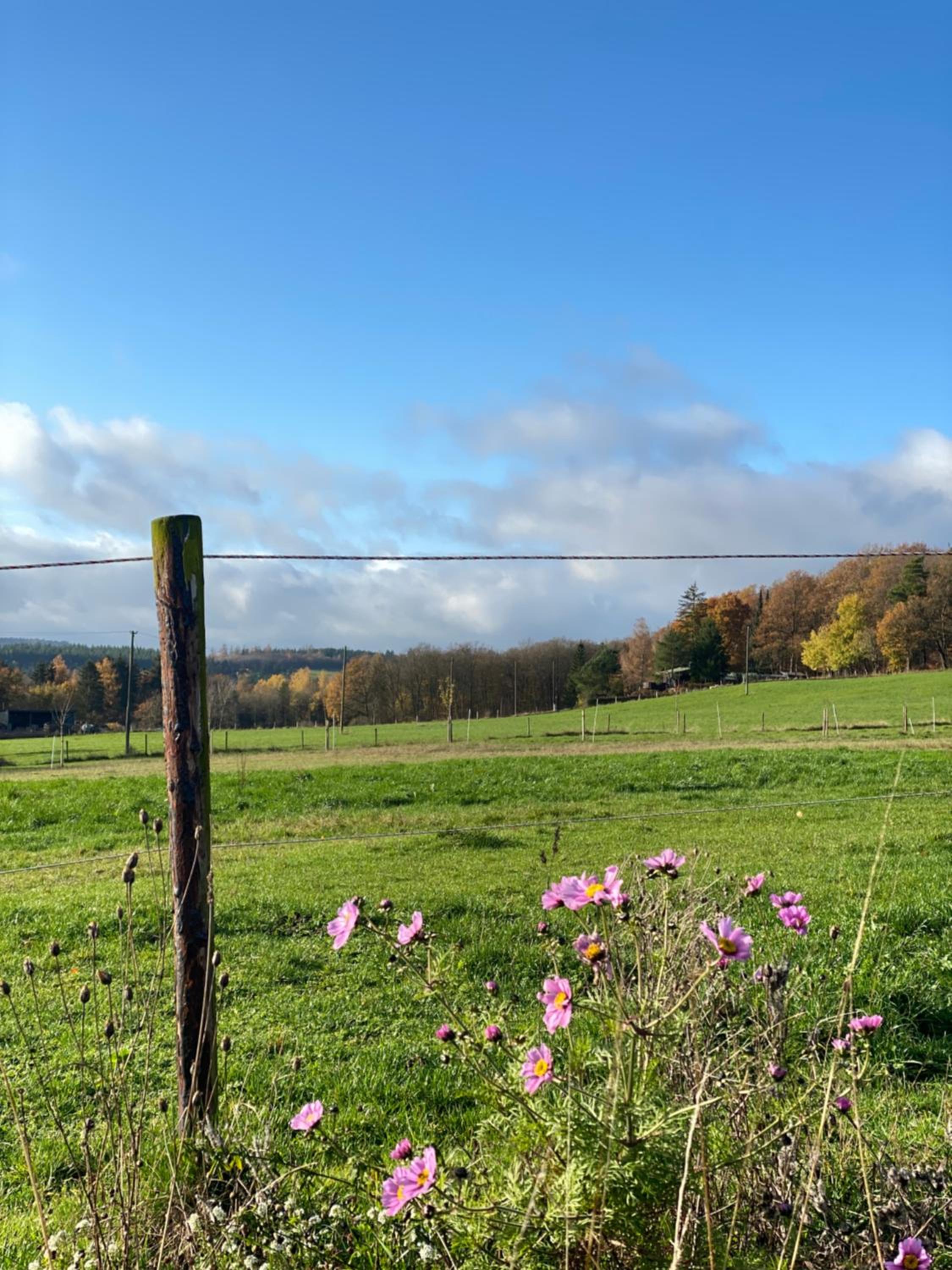 Eifel Ferienhaus Luna