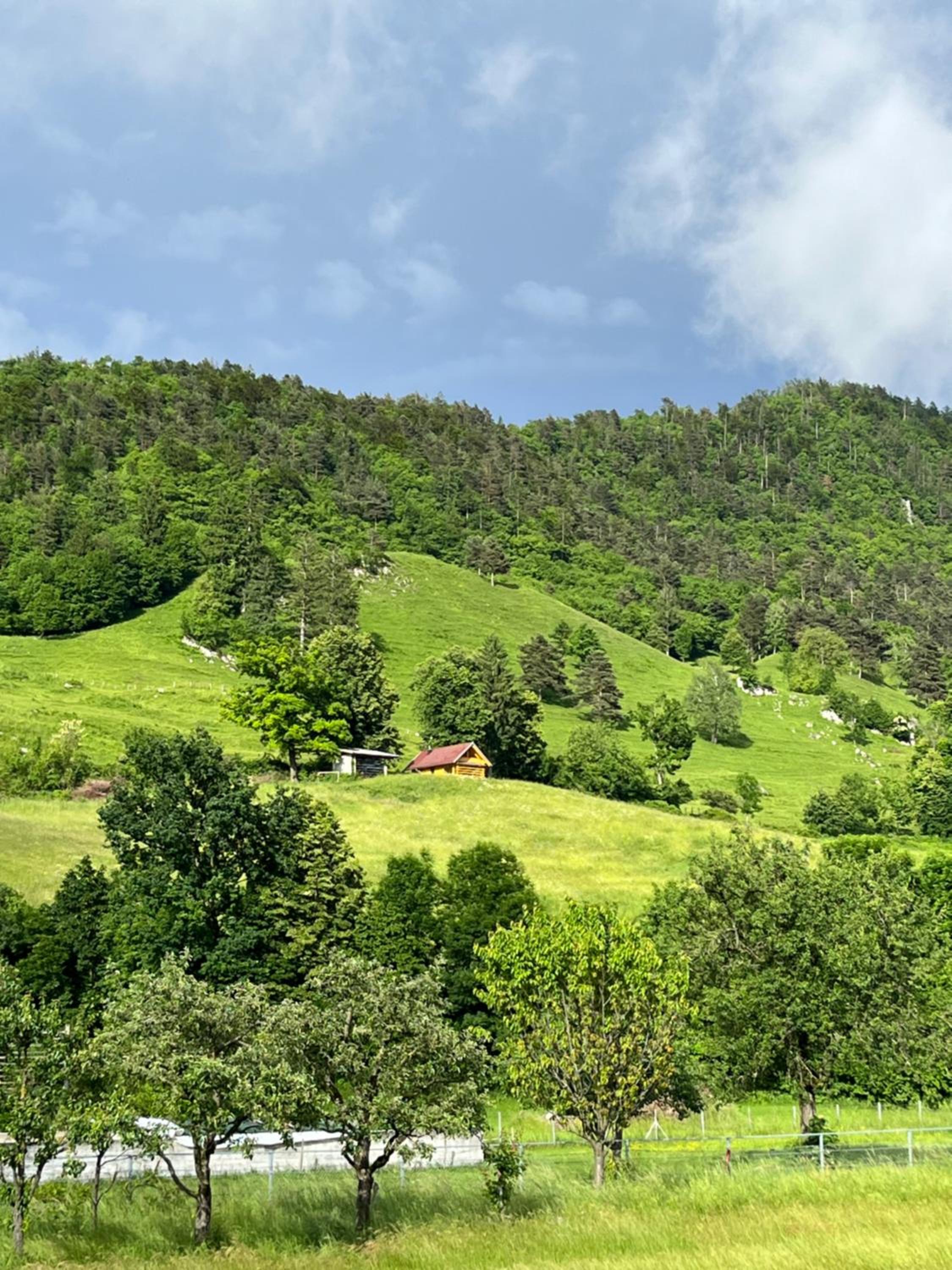 Cottage Žirovnica