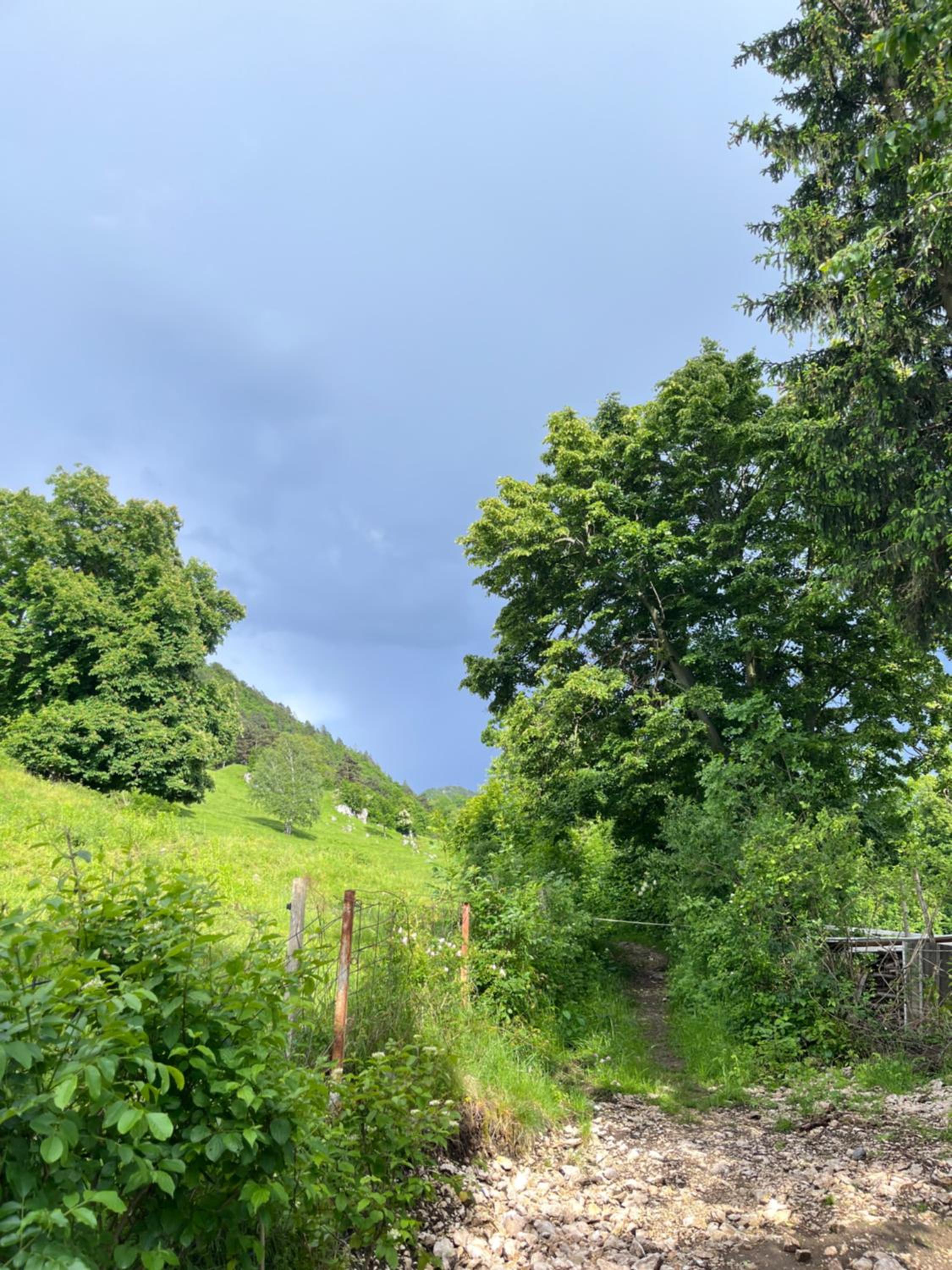 Cottage Žirovnica