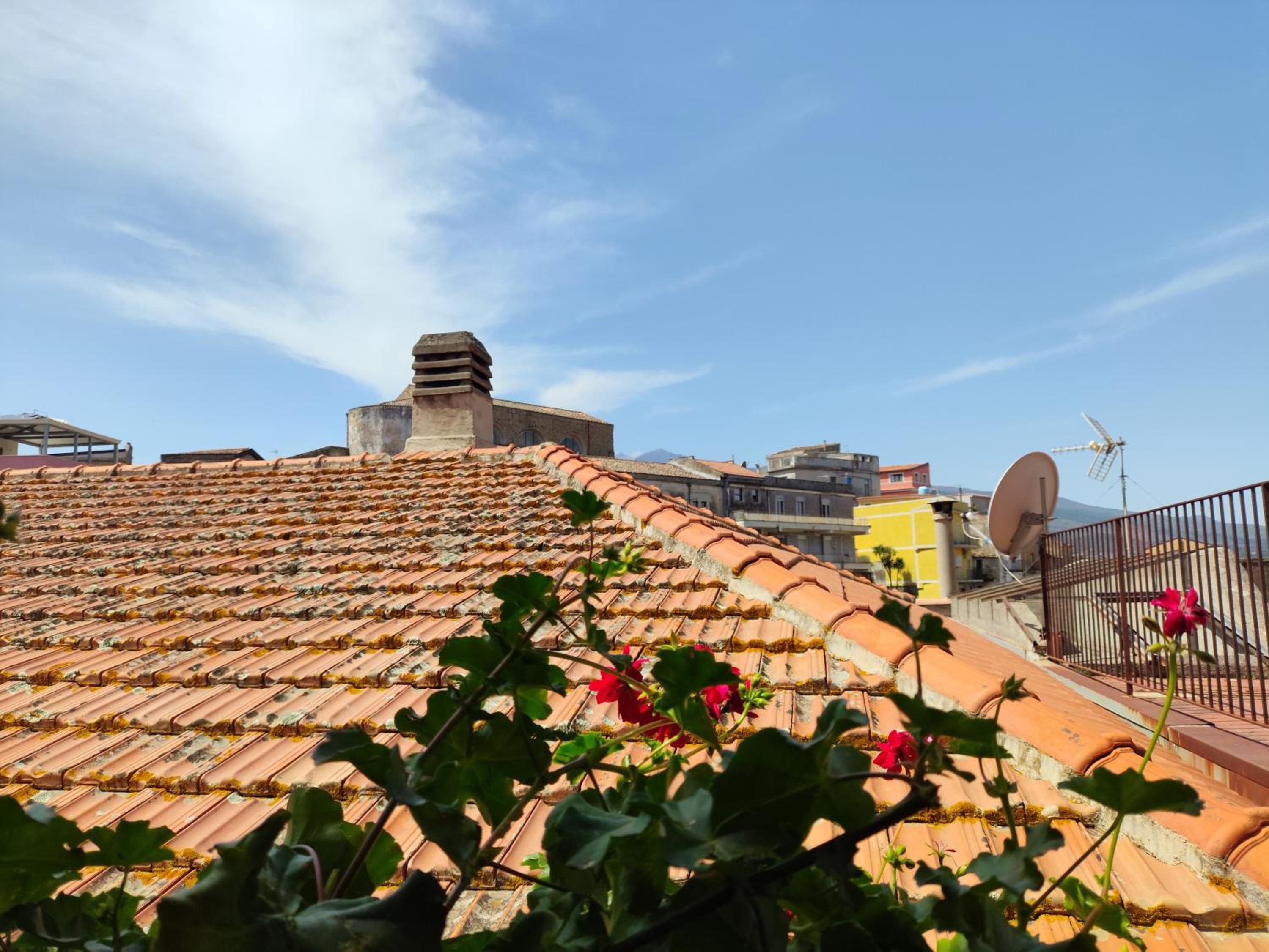 roof