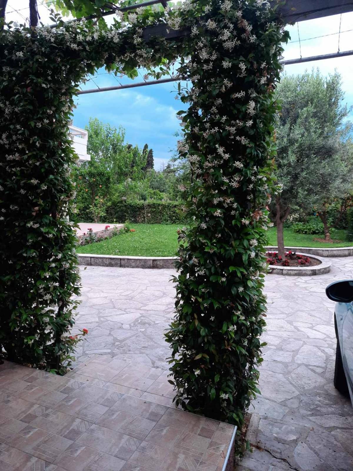 El Sol Apartmani view 5
