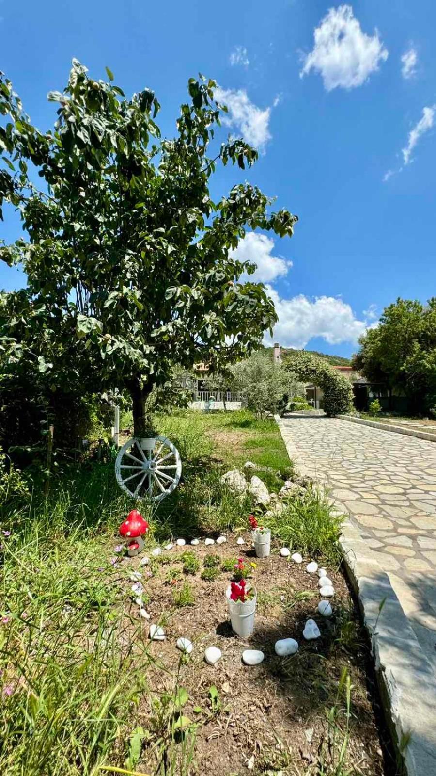 Villa Eden