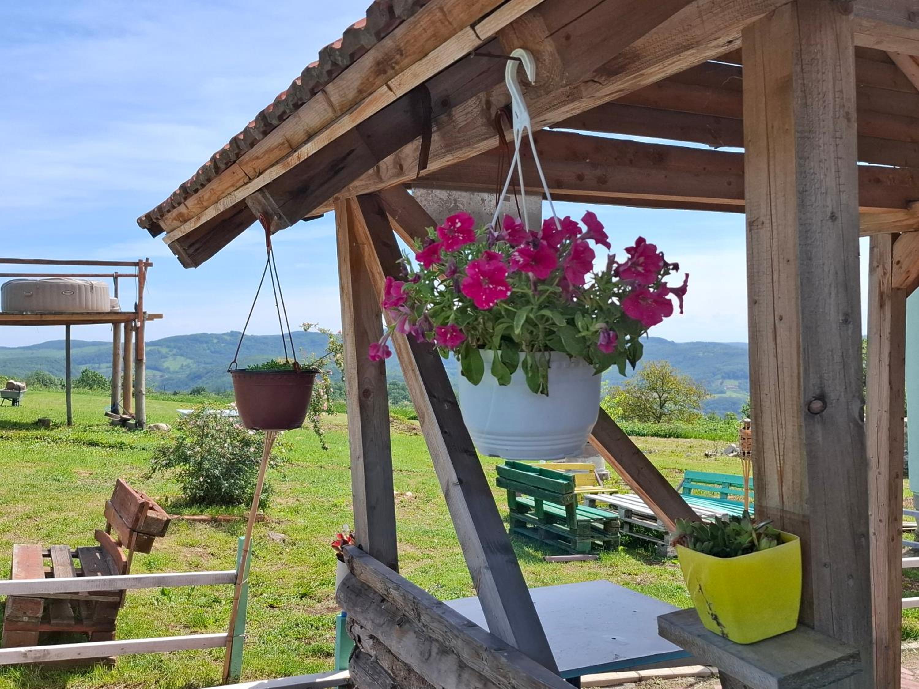 Apartmani Feliks