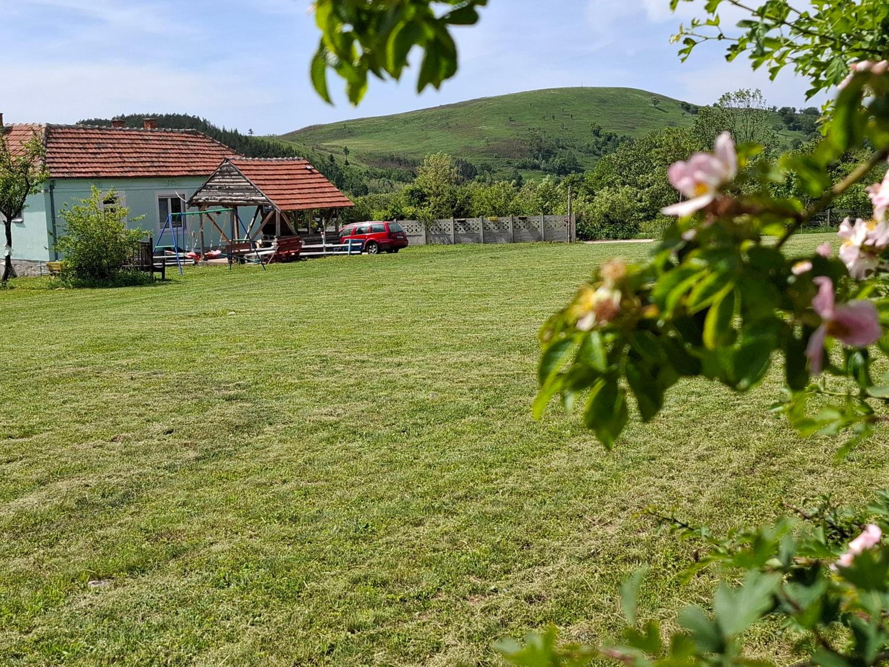 Apartmani Feliks