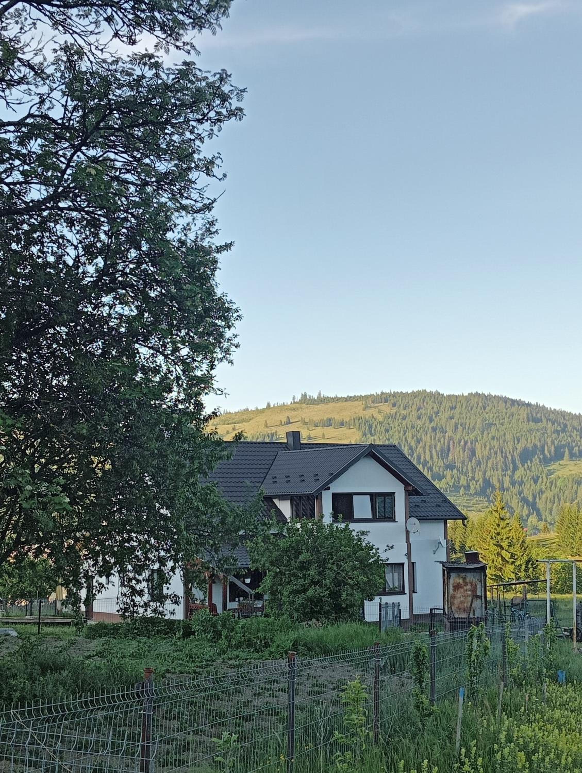 Photo 47