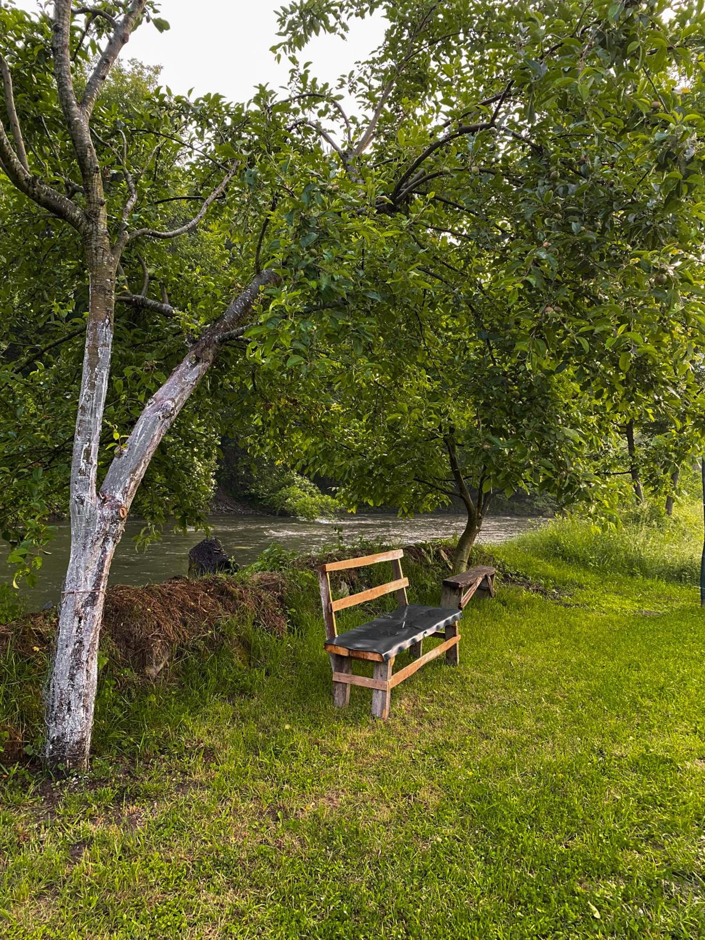 Apartman Elma
