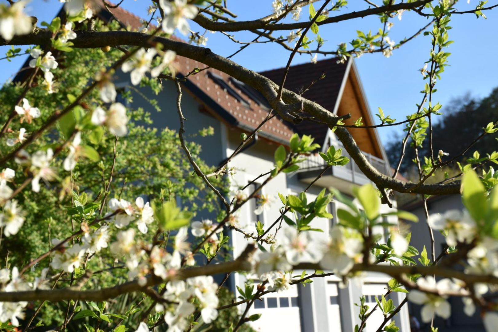 Ferienhaus am Hof Zotter