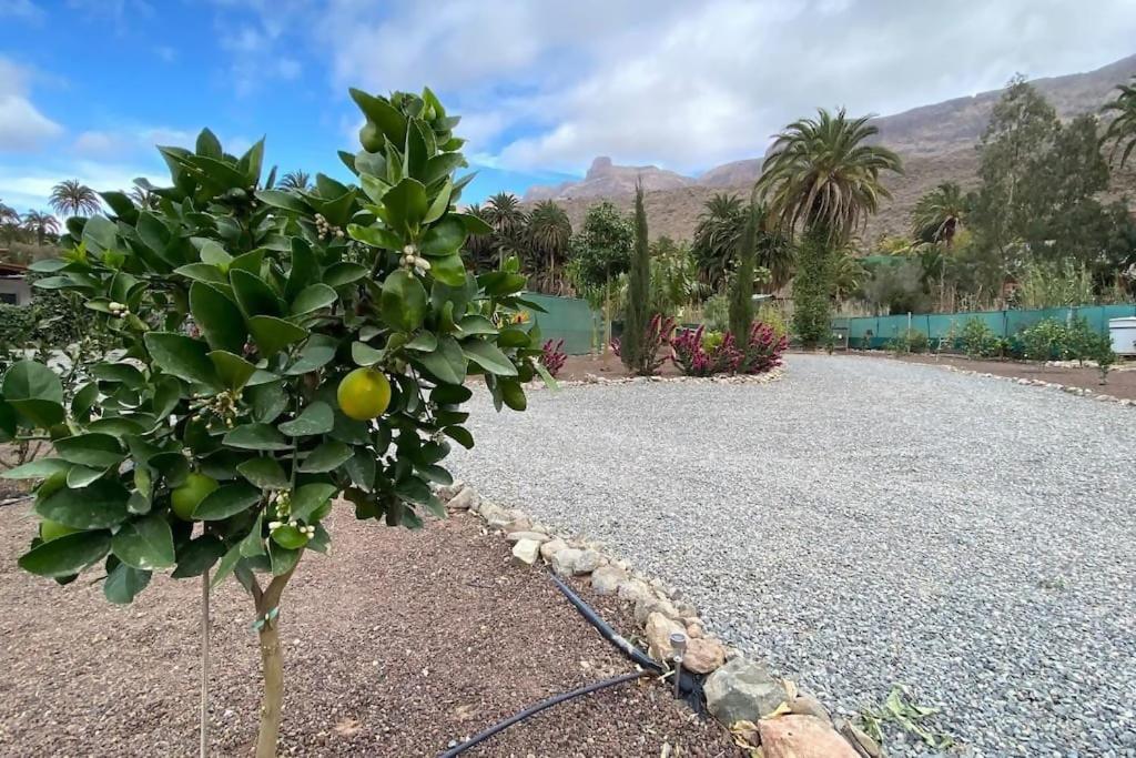 Country House Near Fataga & Maspalomas