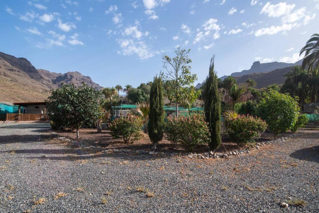 Country House Near Fataga & Maspalomas