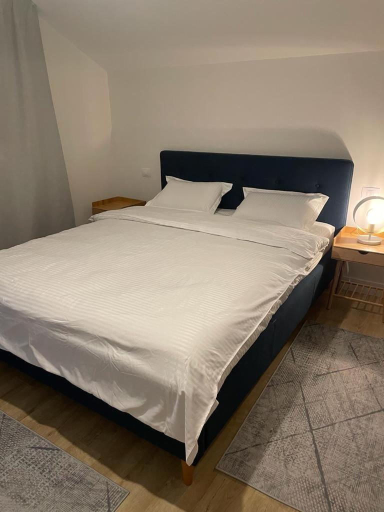 Voronet Retreat
