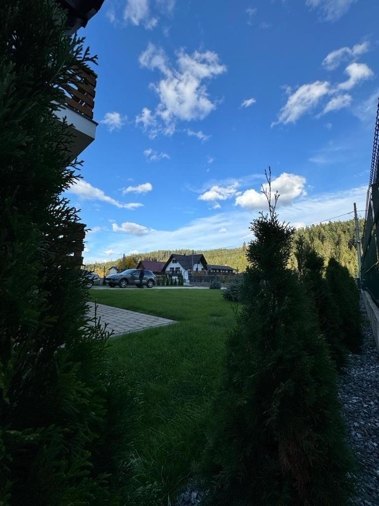Voronet Retreat