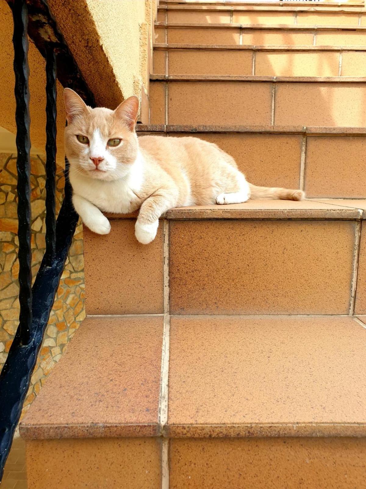 Photo 33