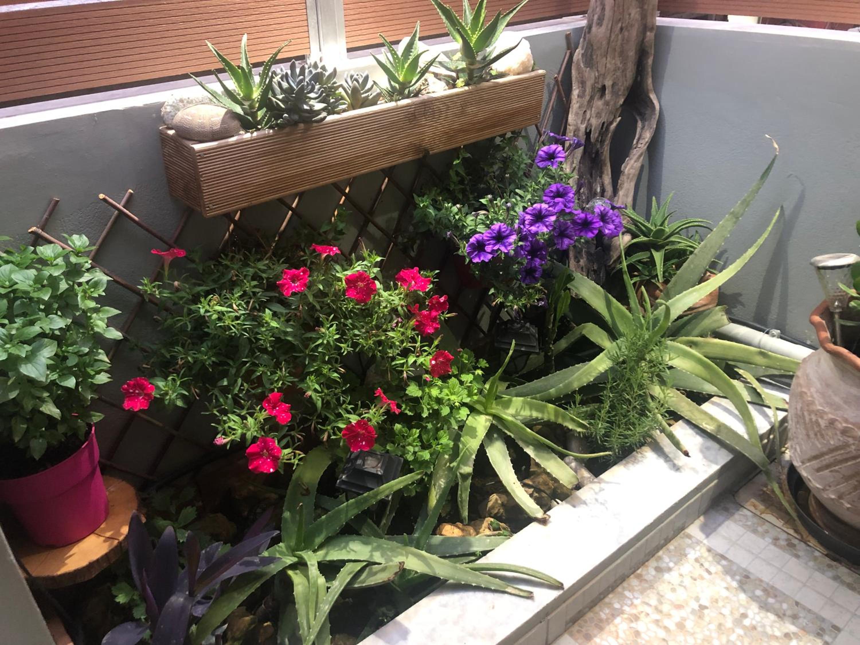 Summer mood view 3