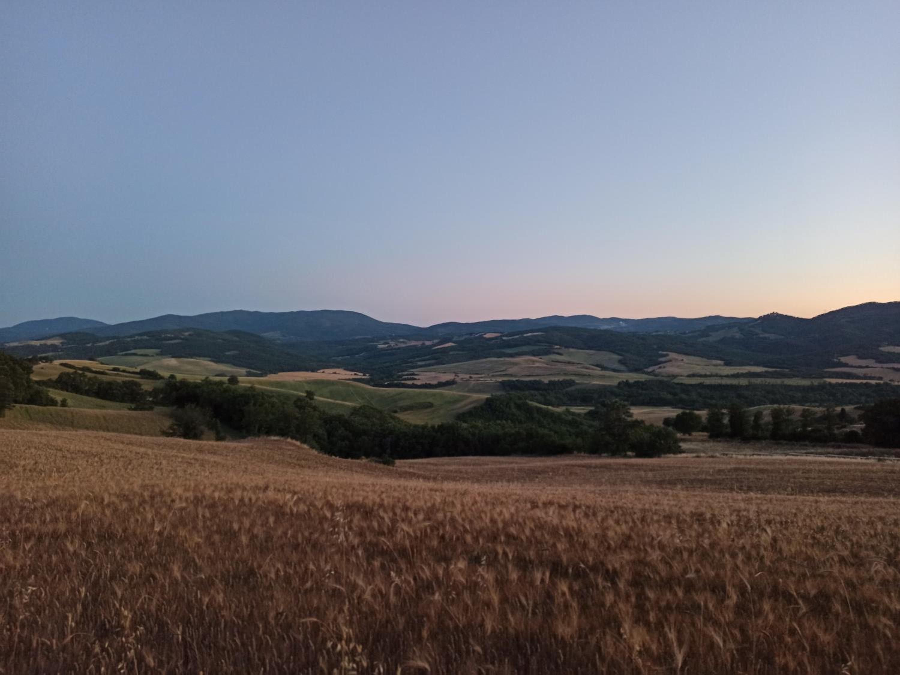 Azienda Agricola Lorenzini Alberto view 4