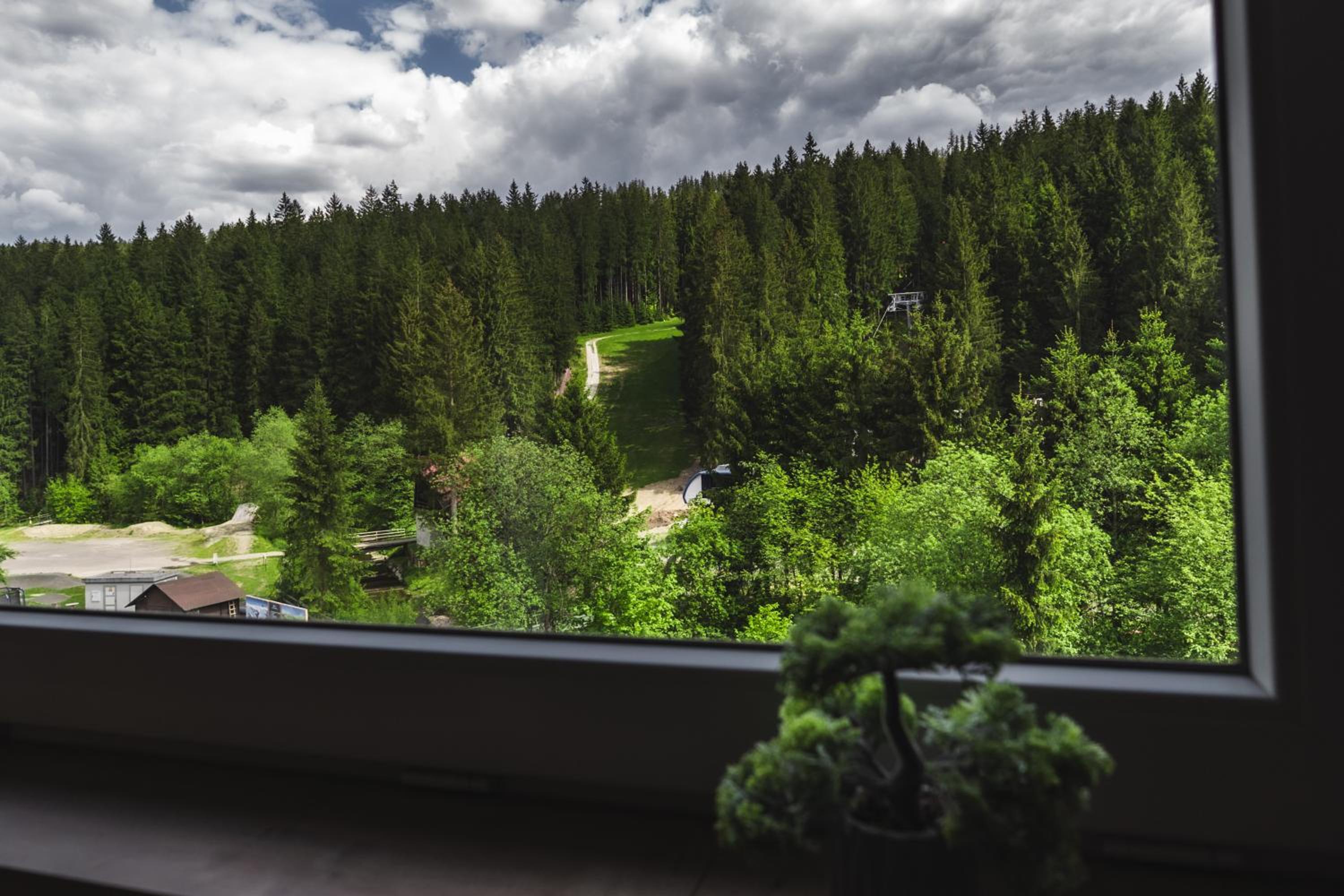 Luxusní Apartmán Domovjanka - SKALKA FAMILY