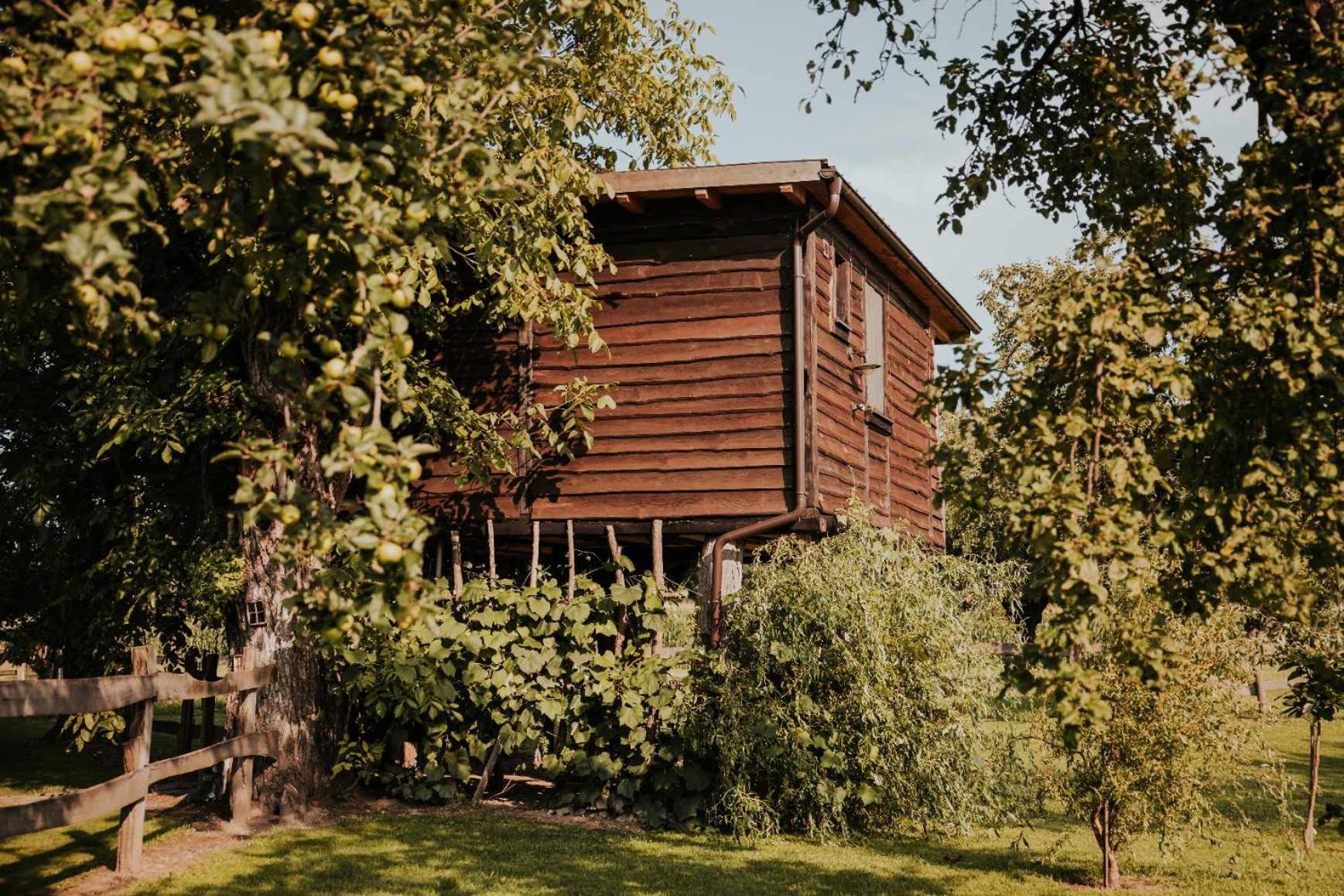 Stork Nest Treehouse - Ranč Jureš Štrkovo gnezdo view 3