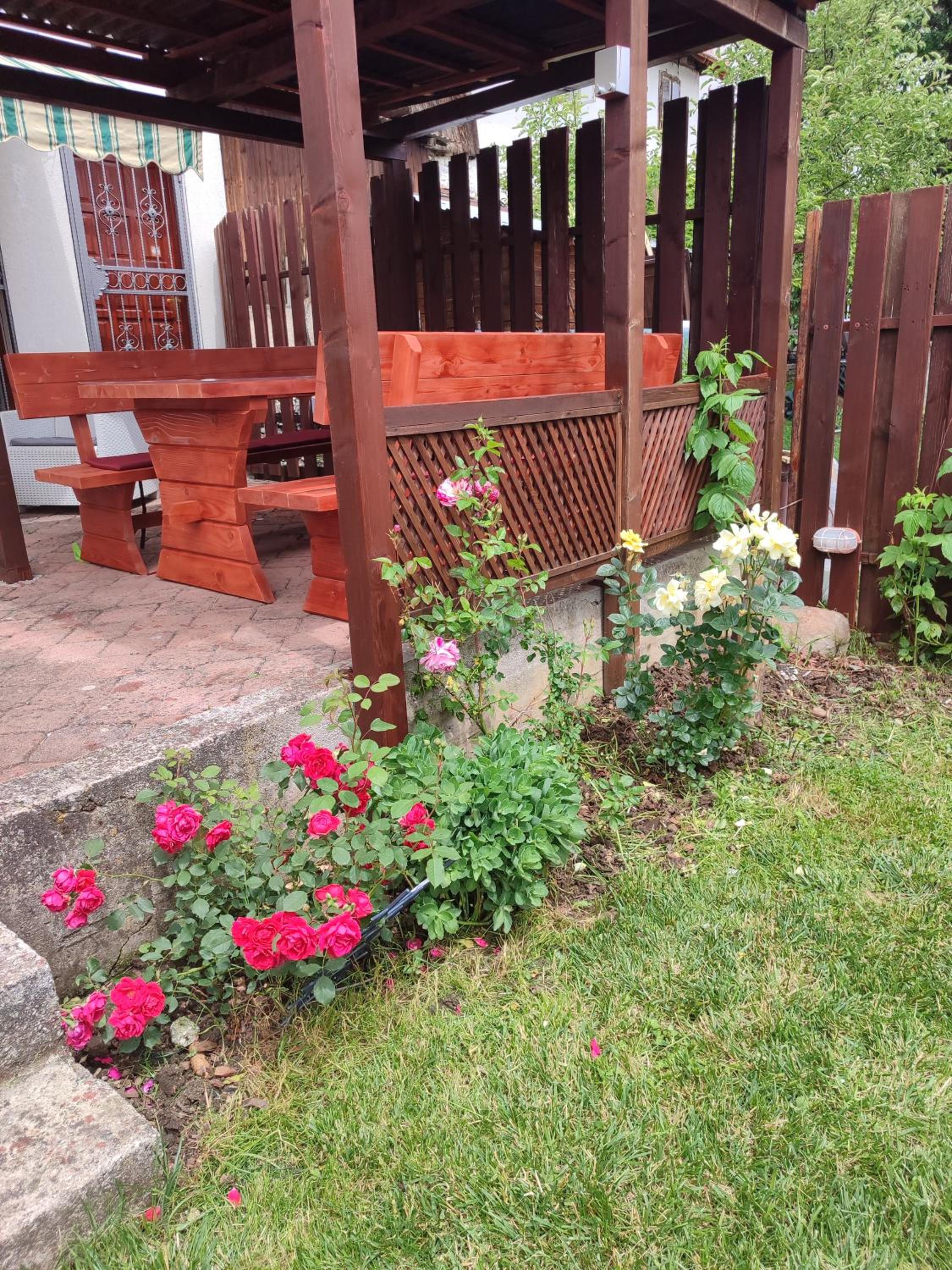 Photo 41