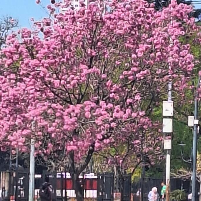 Excelente a metros La Rural y Embajada USA con piscina y Gym Palermo Soho