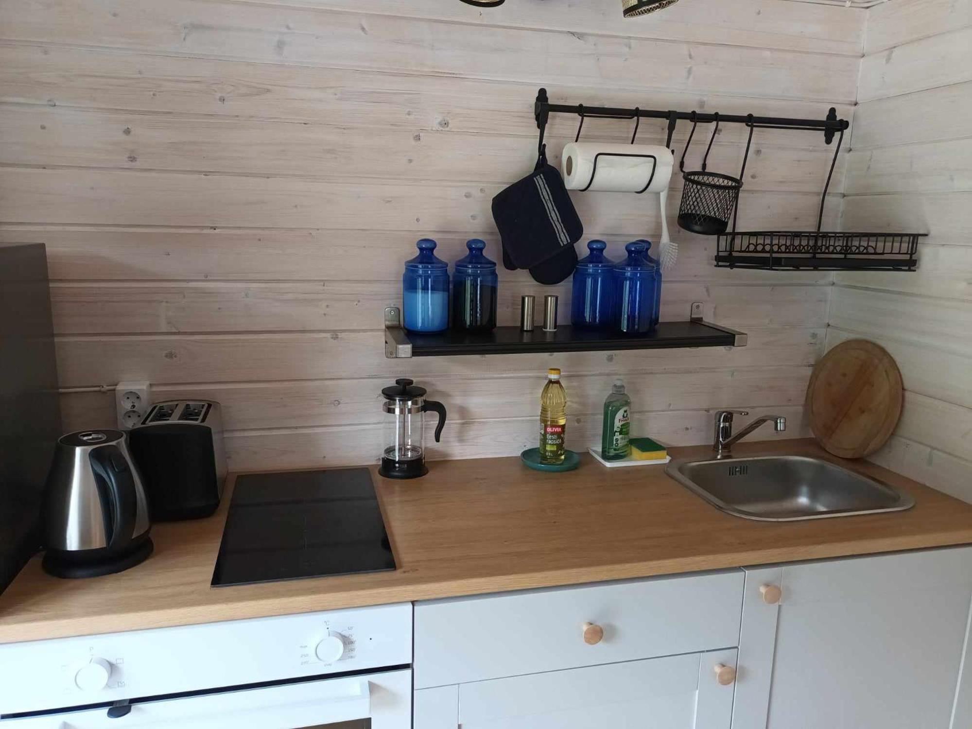 Salu summer cottage