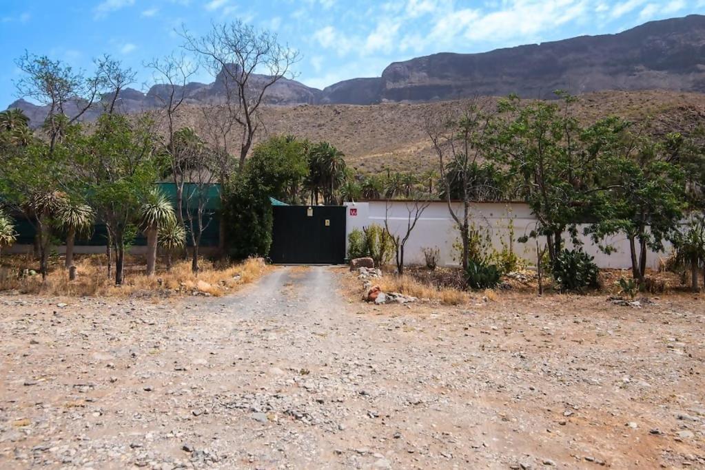 Country Studio near Fataga photo 4