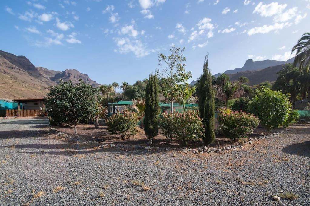 Country Studio near Fataga photo 5