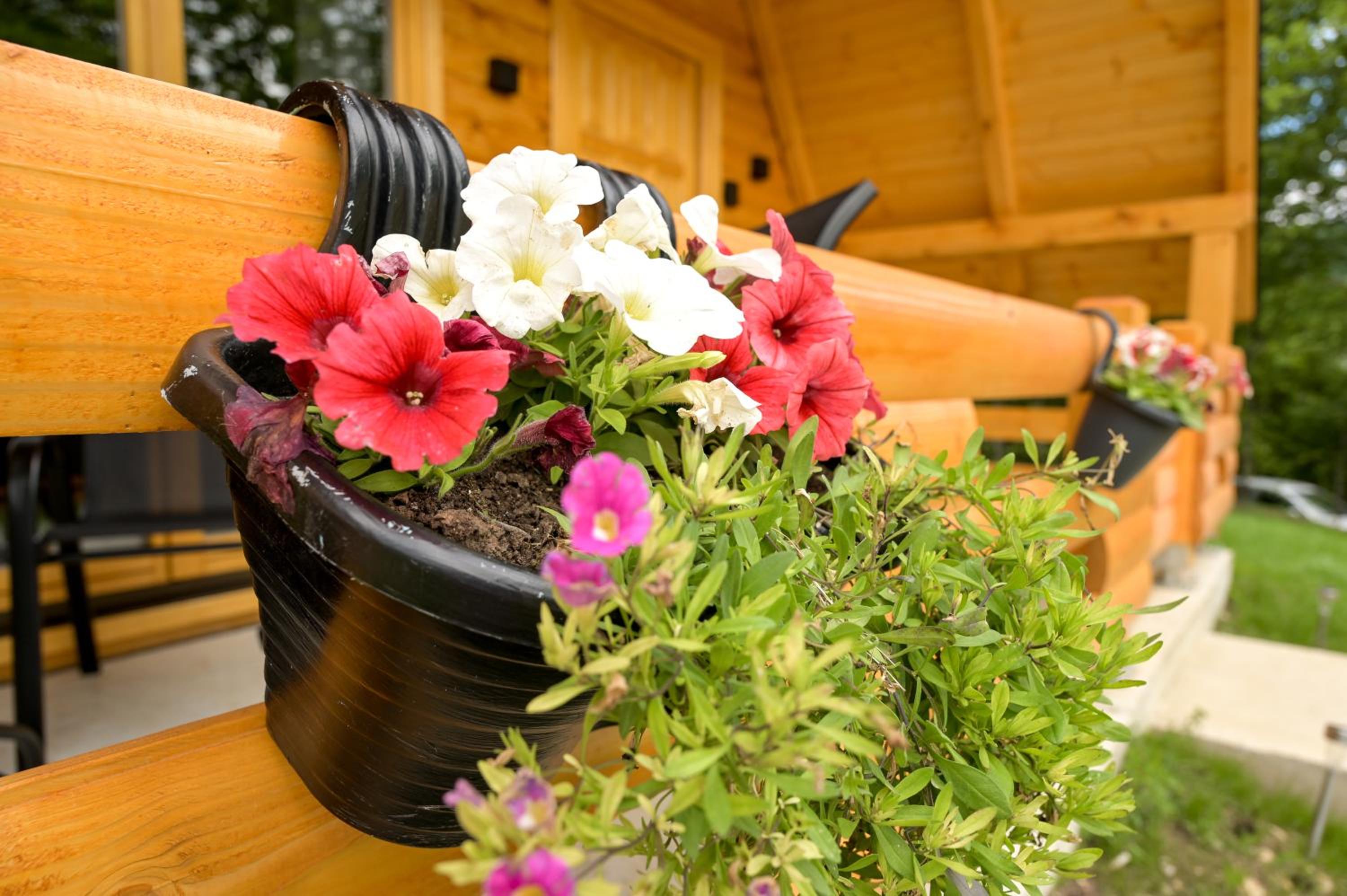 Cottage NIKA