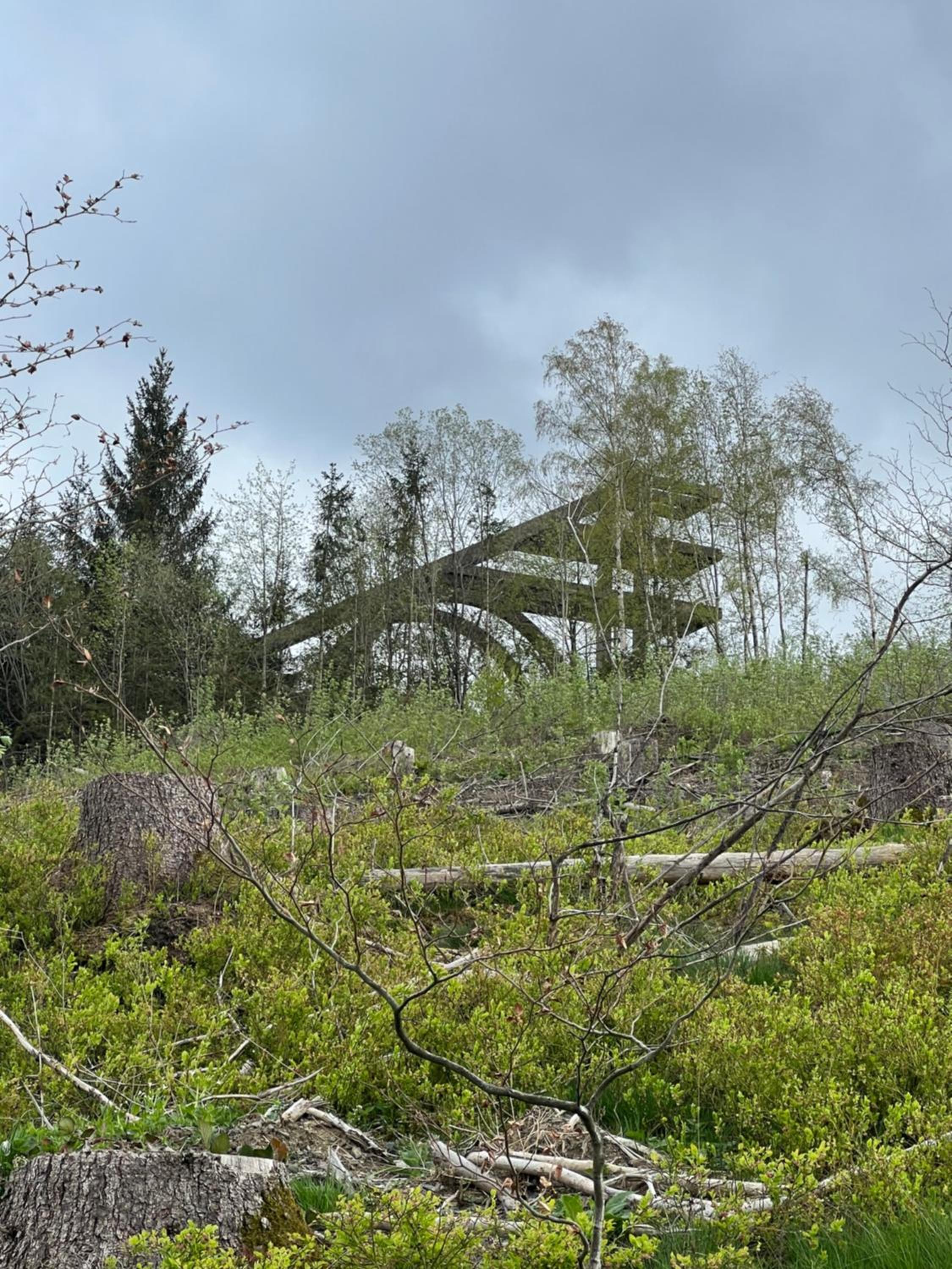 Photo 21