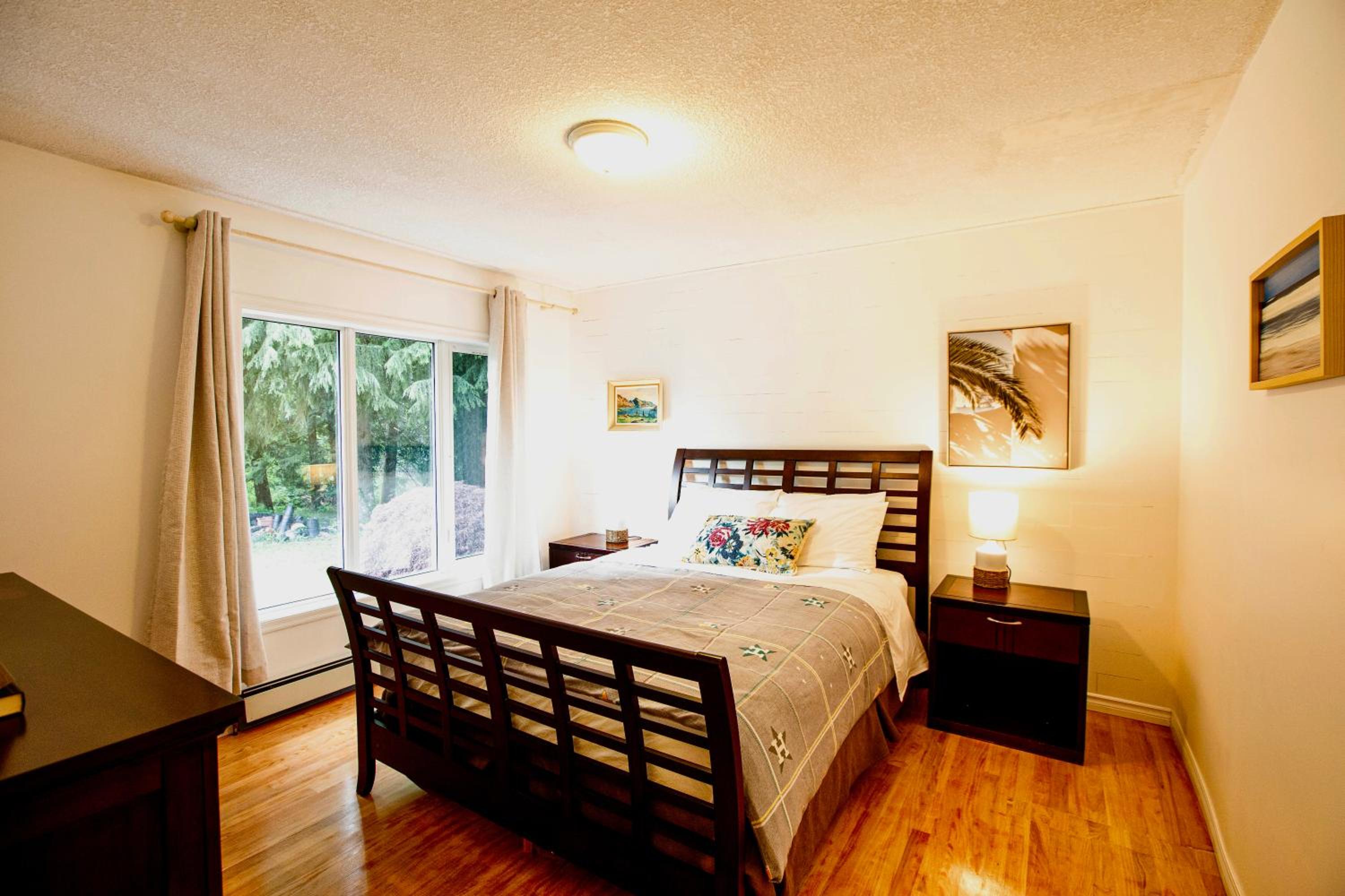 3-Hectare Grand Forest Estate - A Tranquil Hideaway
