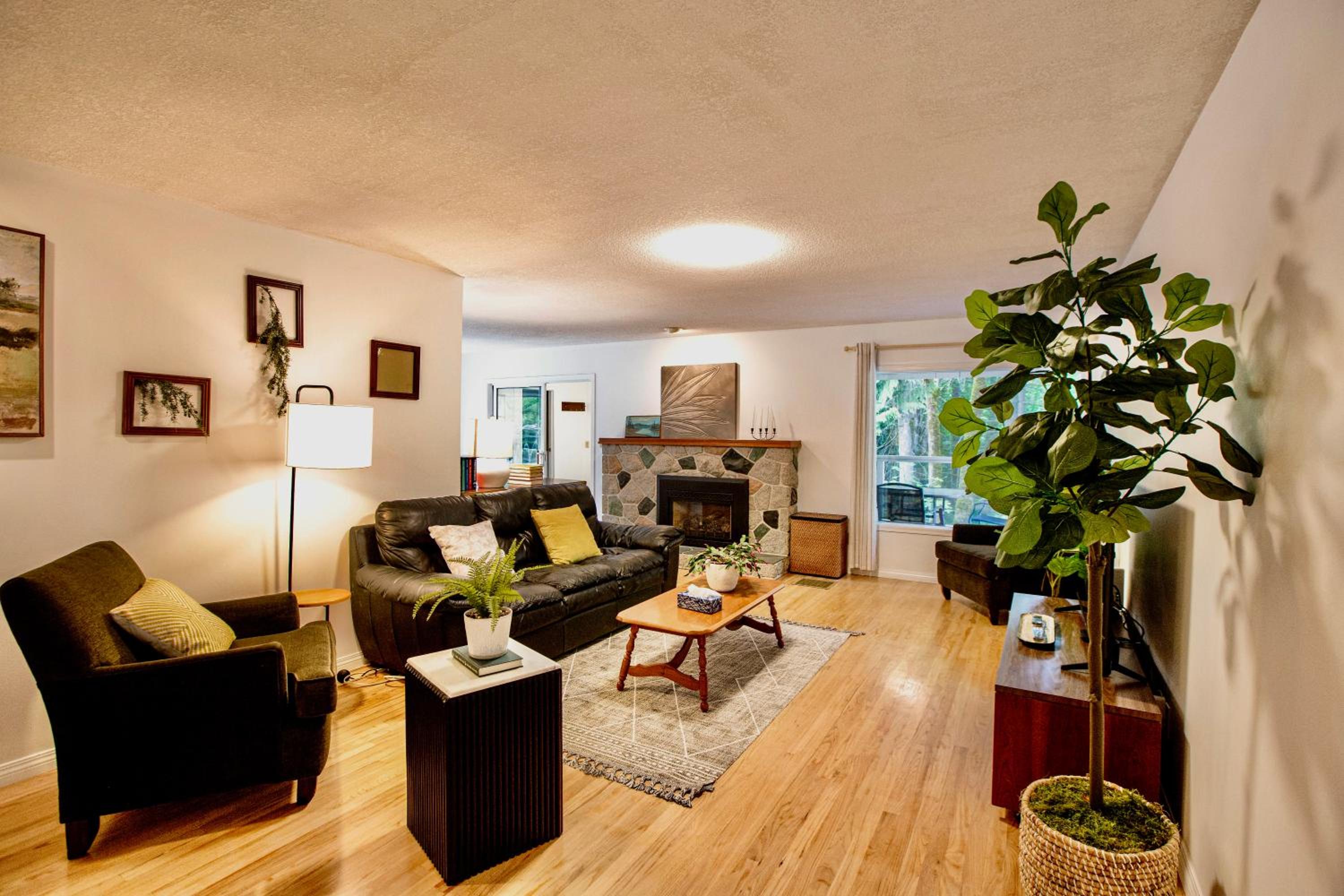 3-Hectare Grand Forest Estate - A Tranquil Hideaway