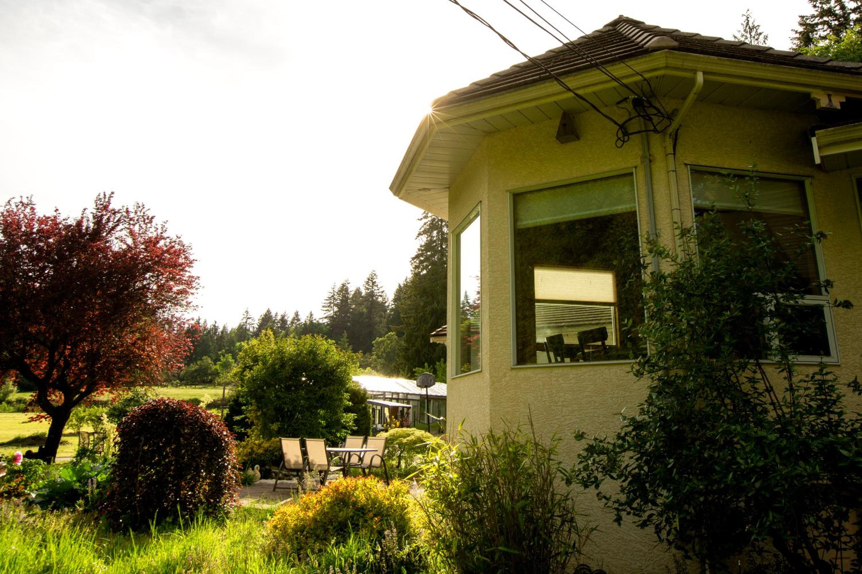 3-Hectare Grand Forest Estate - A Tranquil Hideaway
