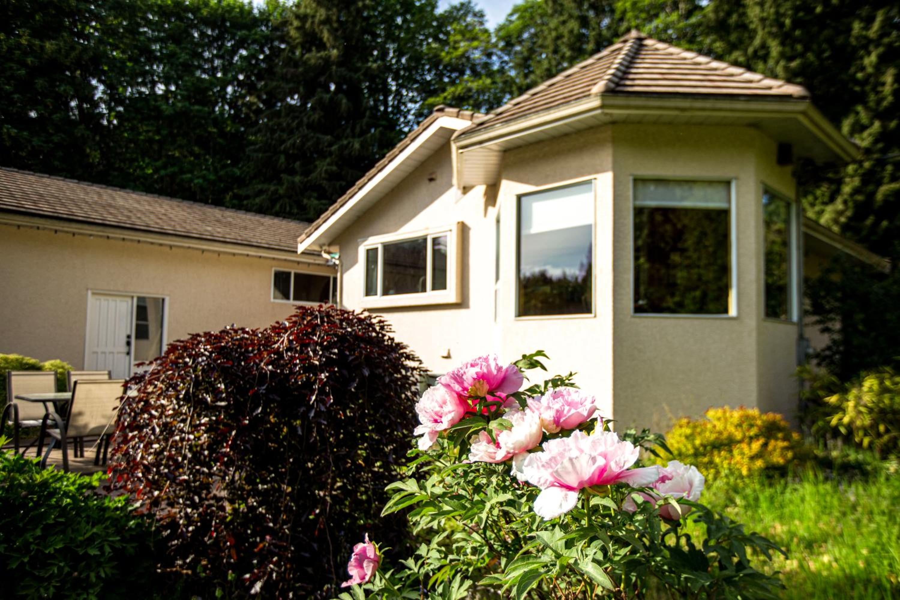 3-Hectare Grand Forest Estate - A Tranquil Hideaway