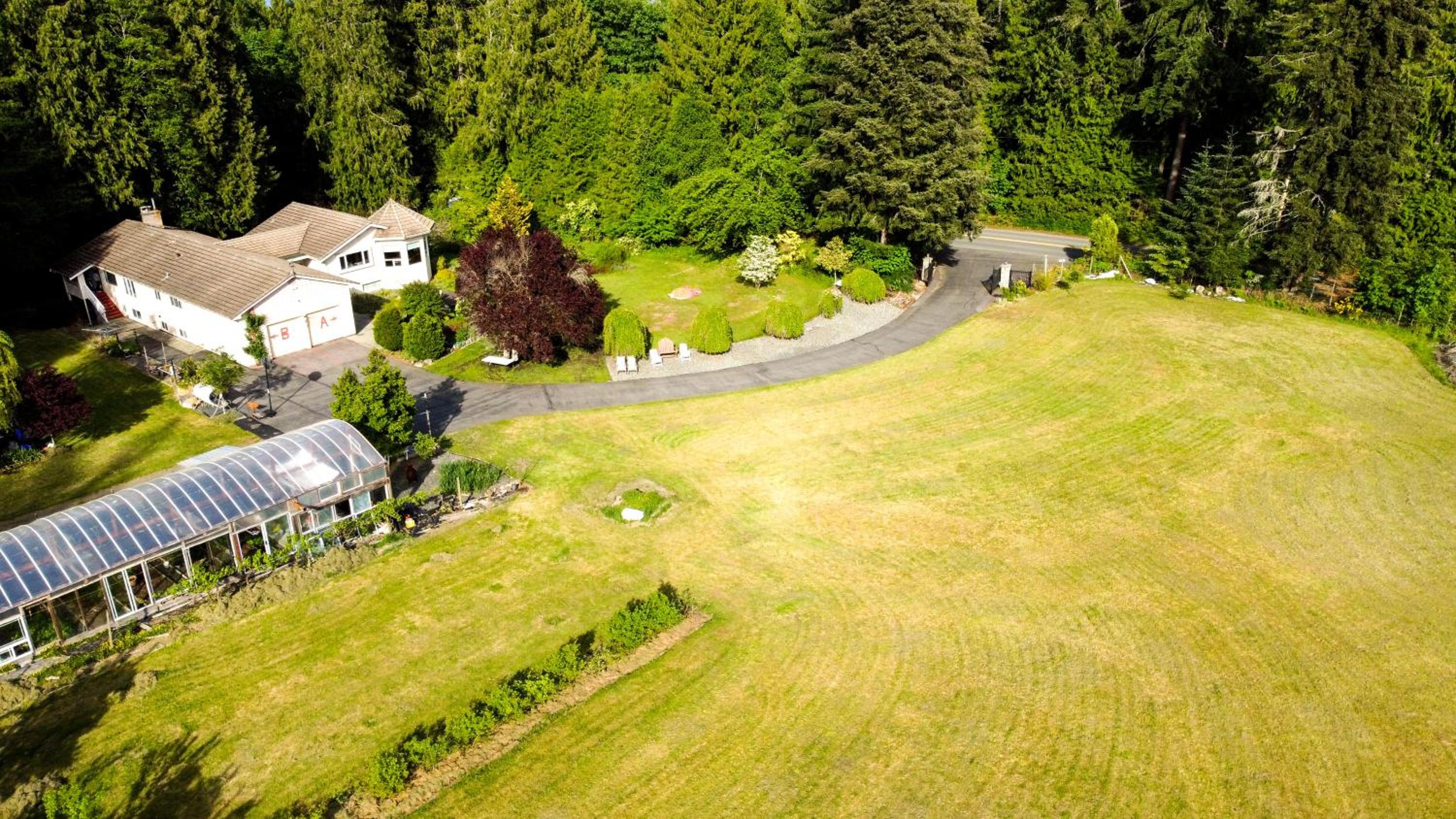 3-Hectare Grand Forest Estate - A Tranquil Hideaway