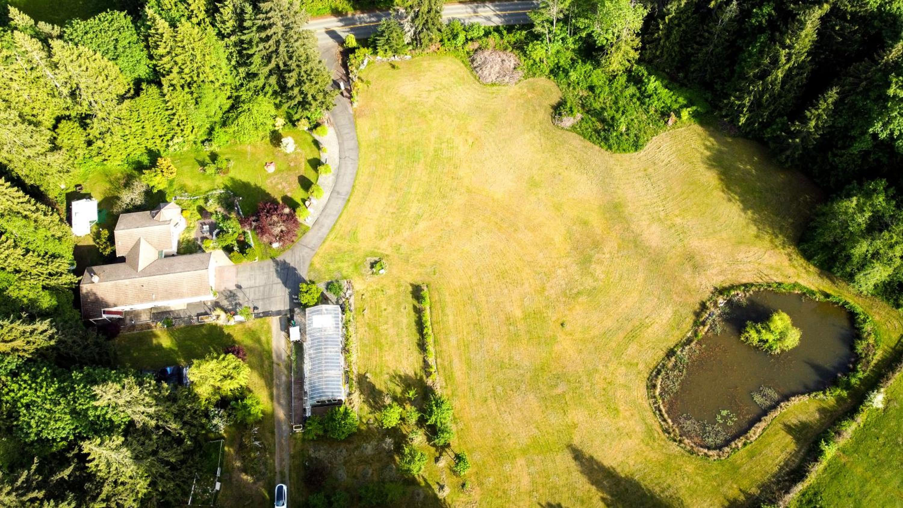 3-Hectare Grand Forest Estate - A Tranquil Hideaway