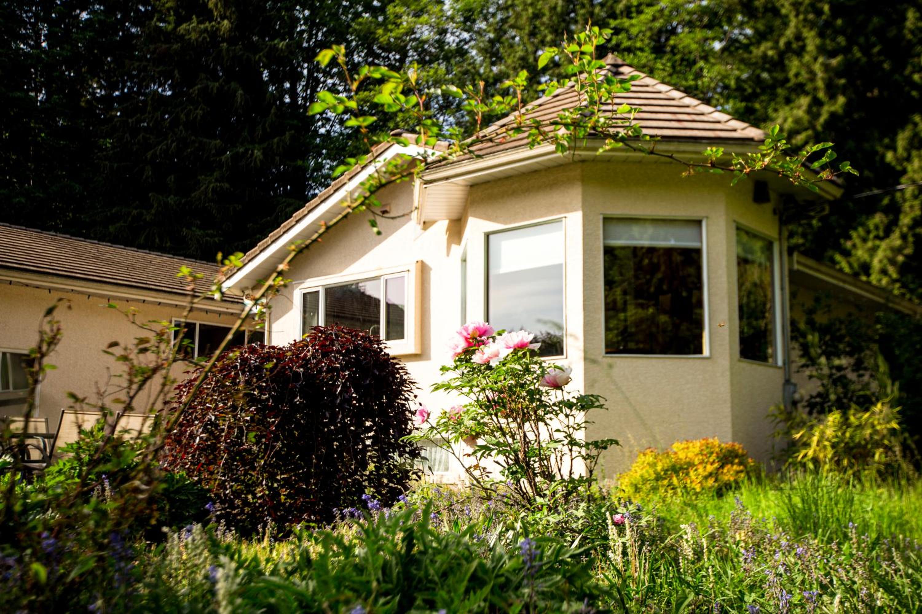 3-Hectare Grand Forest Estate - A Tranquil Hideaway