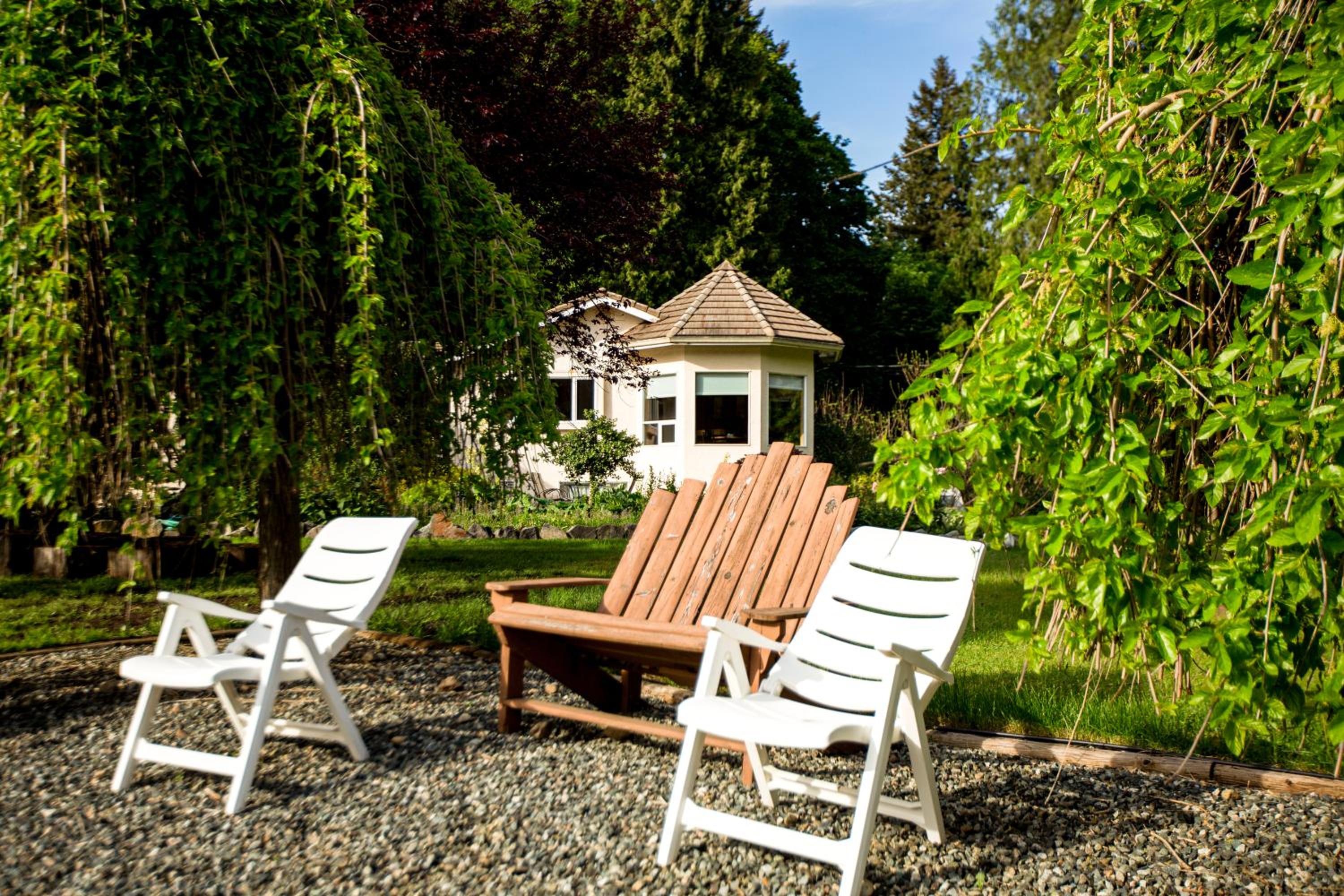 3-Hectare Grand Forest Estate - A Tranquil Hideaway