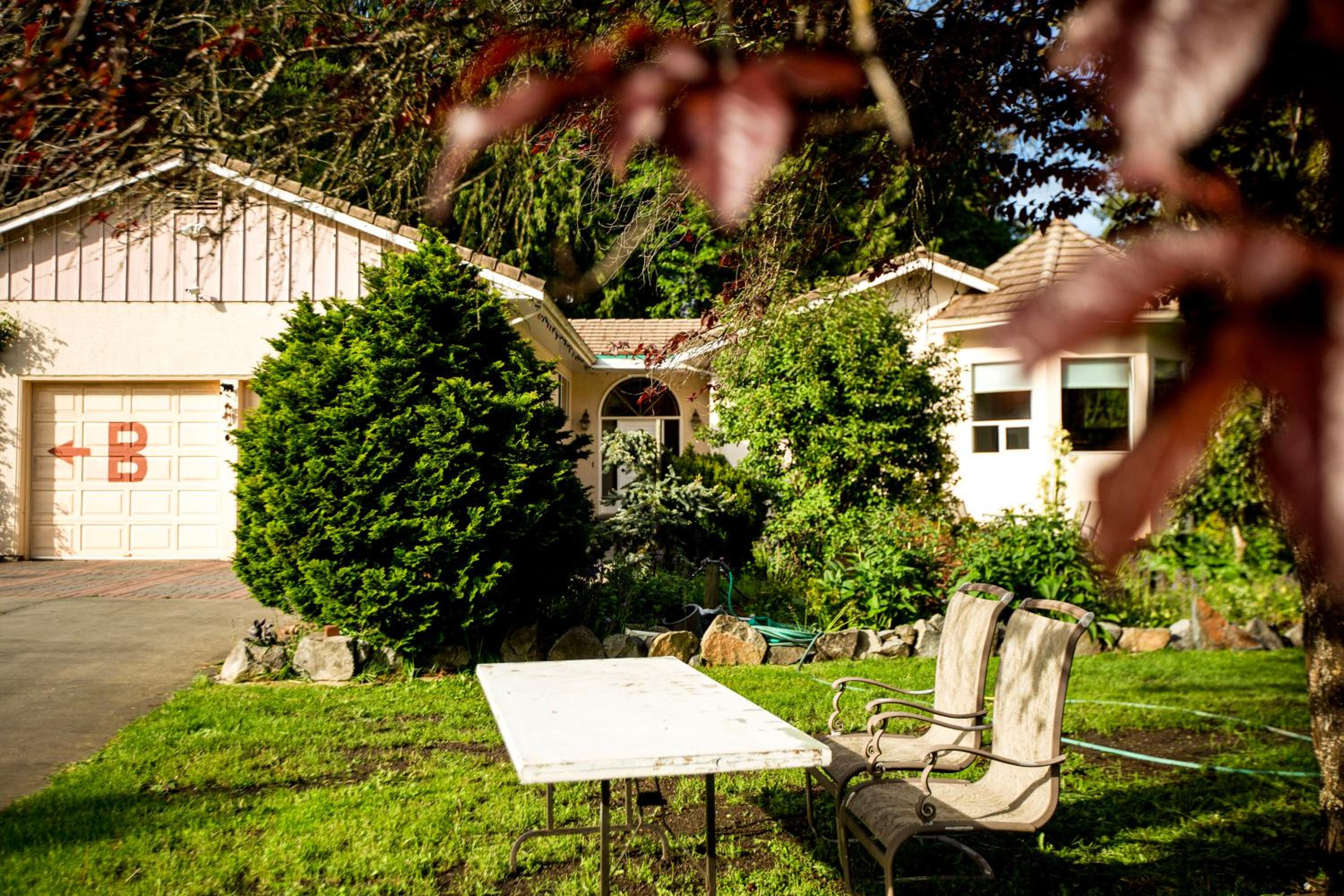 3-Hectare Grand Forest Estate - A Tranquil Hideaway