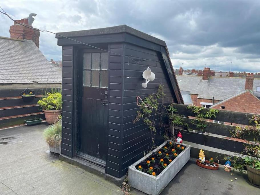 roof